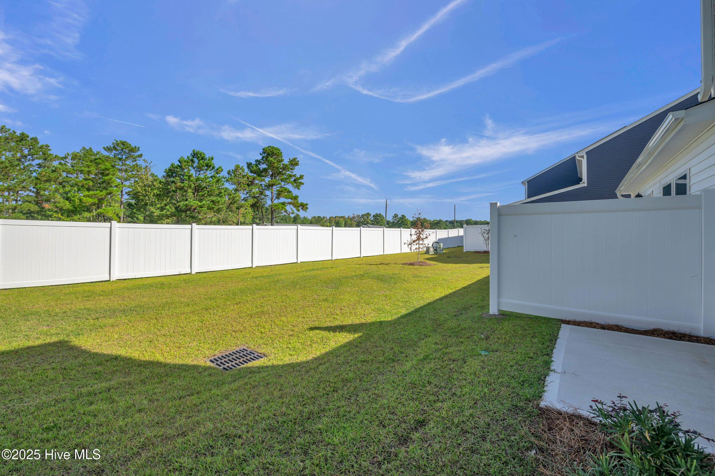 100539430 | Photo 31