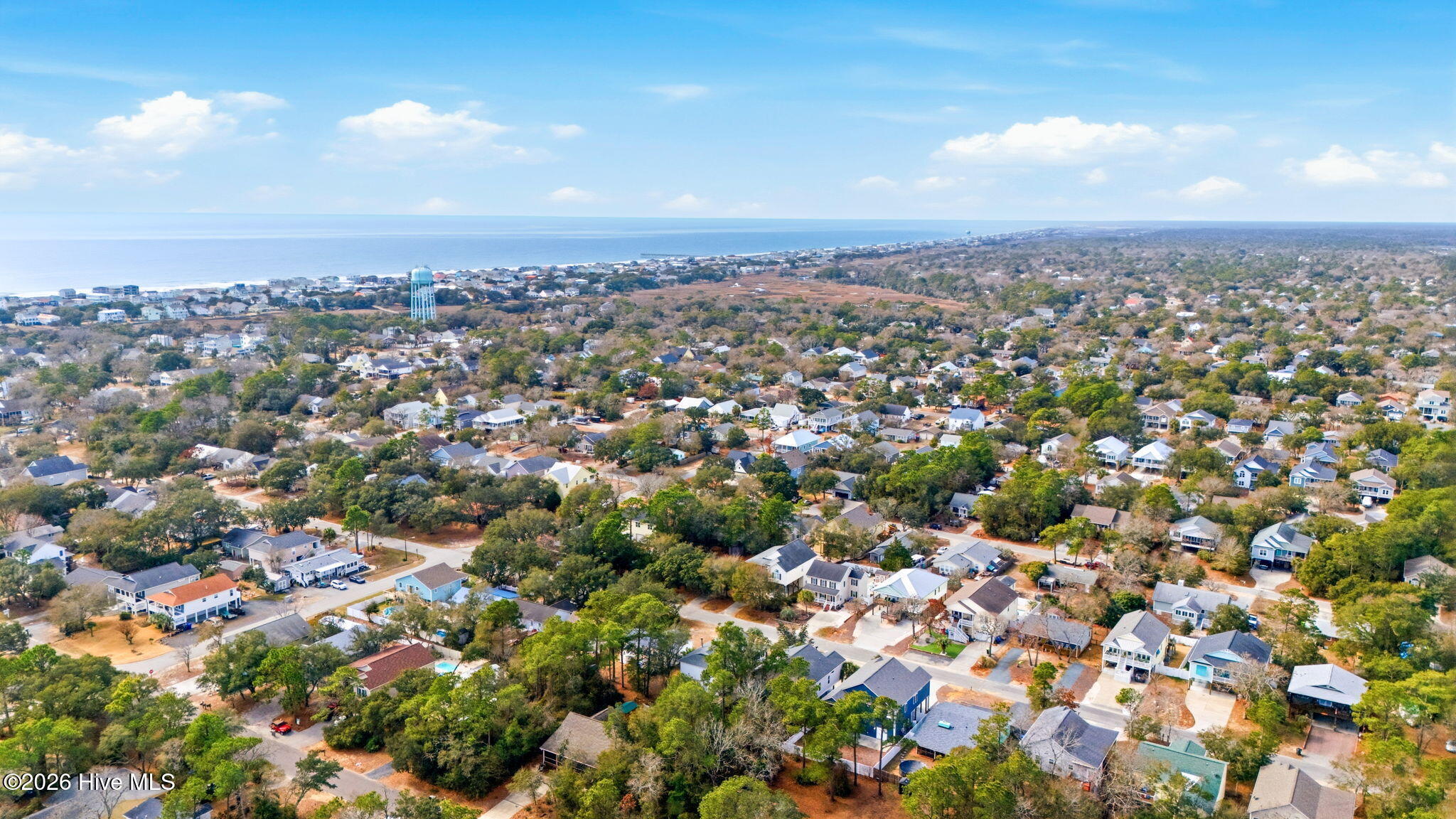 100554036 | Photo 11