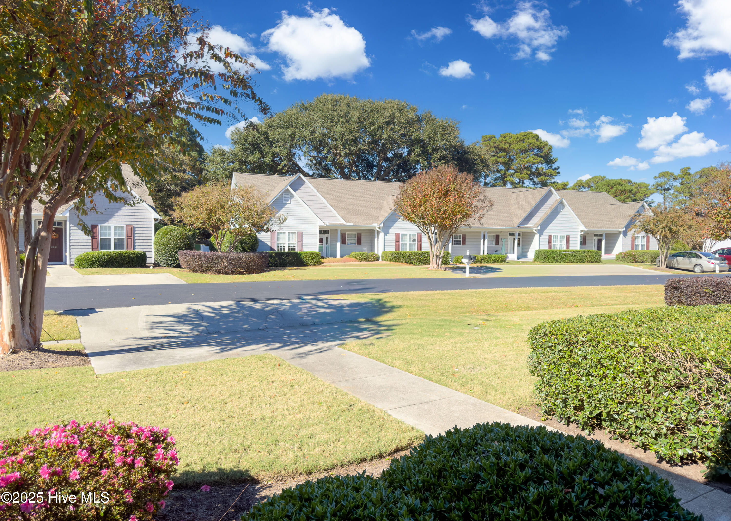 100540953 | Photo 25