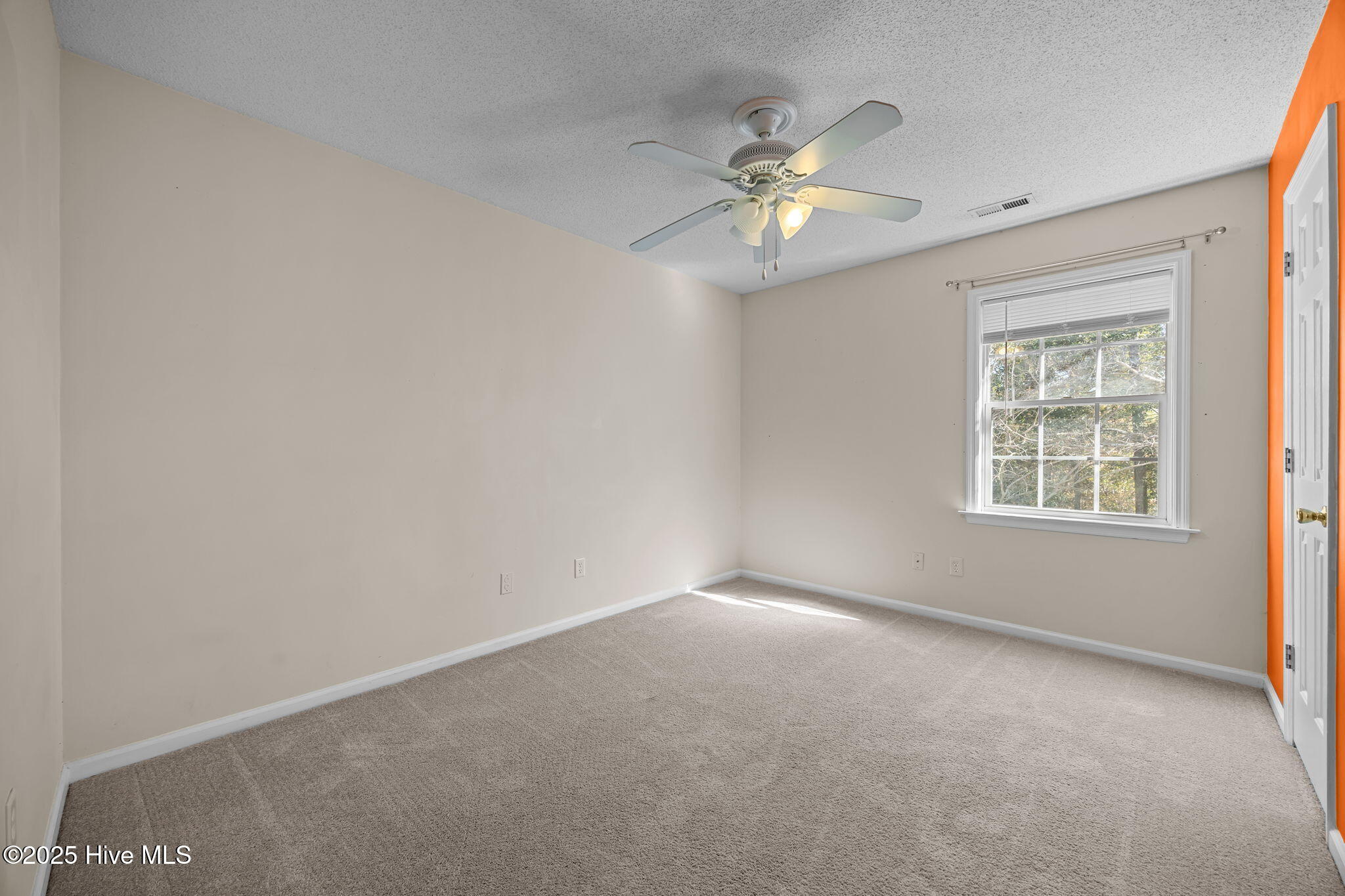 100541595 | Photo 33