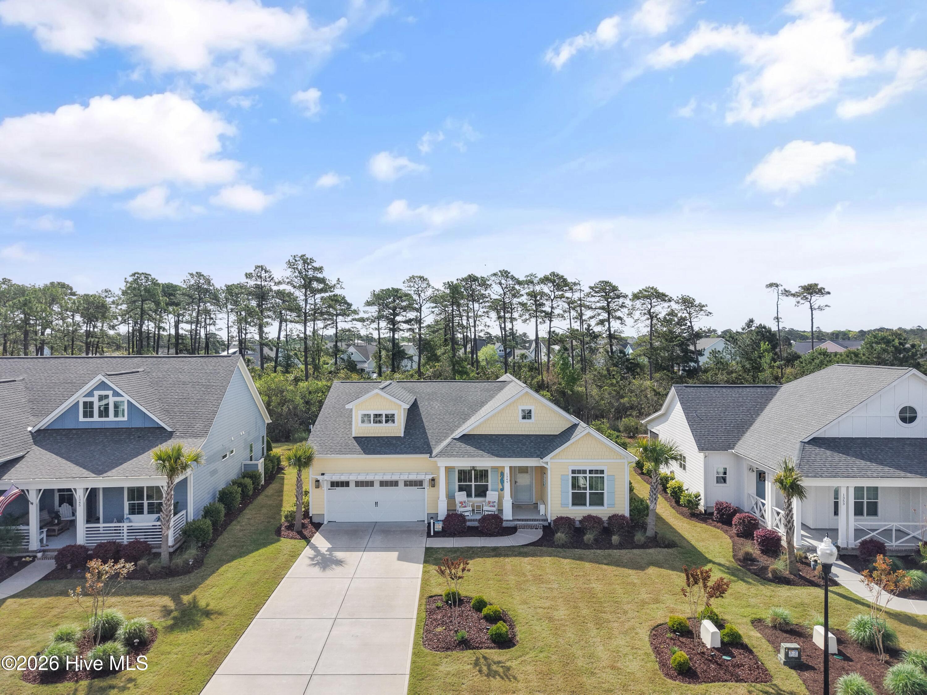 100566064 | Photo 43