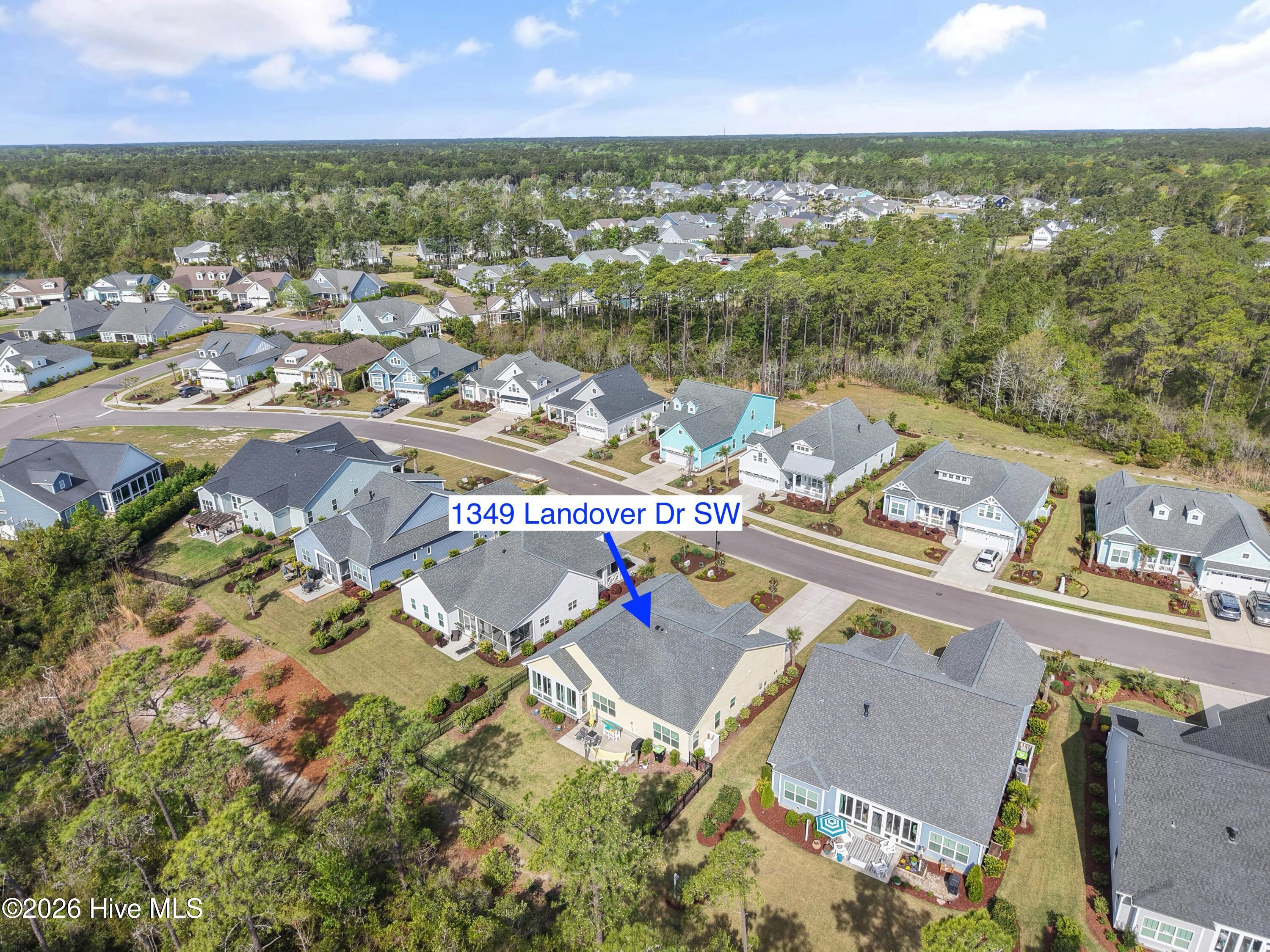 100566064 | Photo 46