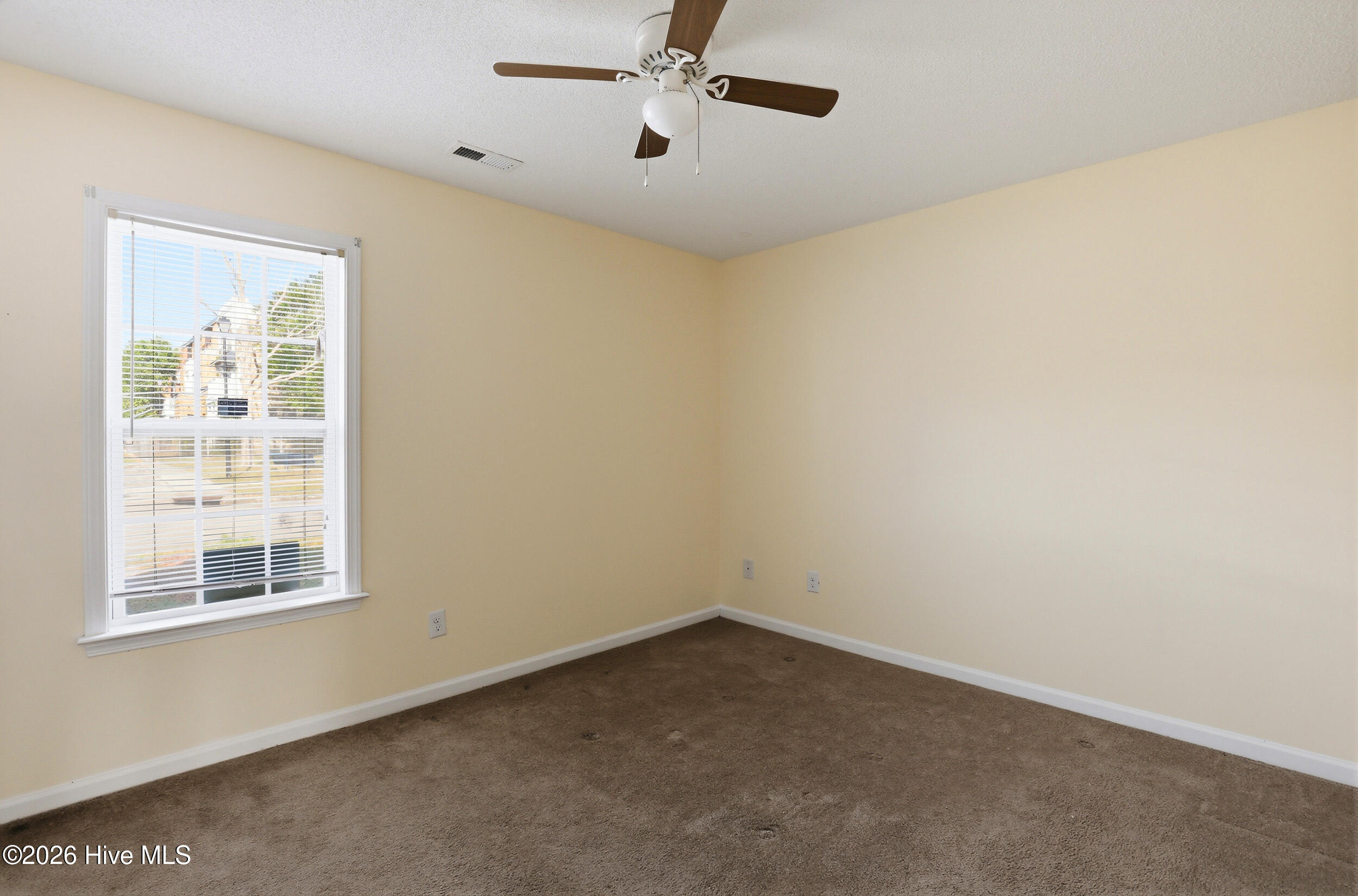 100568655 | Photo 18