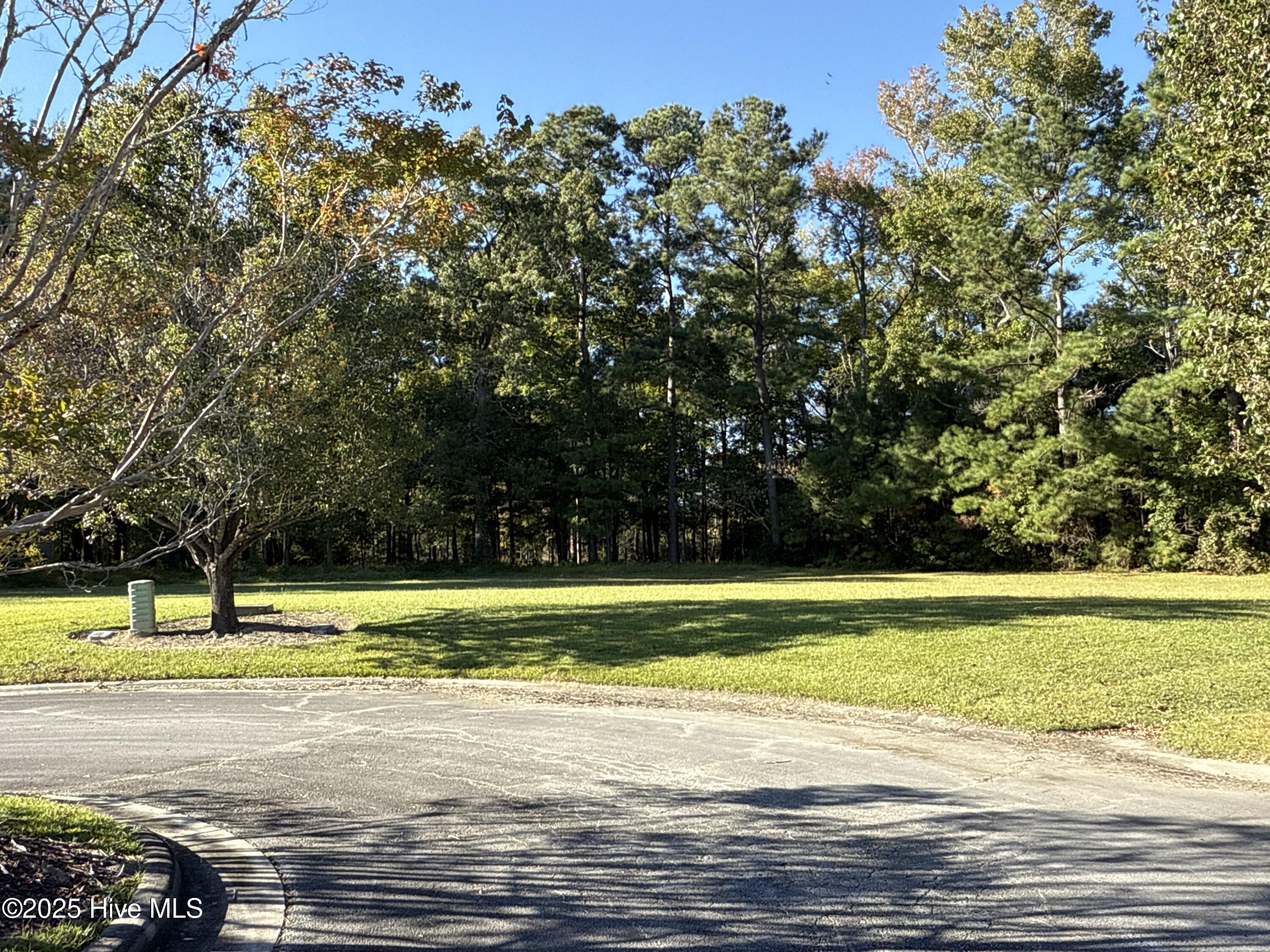 Homes for sale in Arapahoe, NC | 338 Southern Way, Arapahoe, NC 28510 | MLS# 100538377