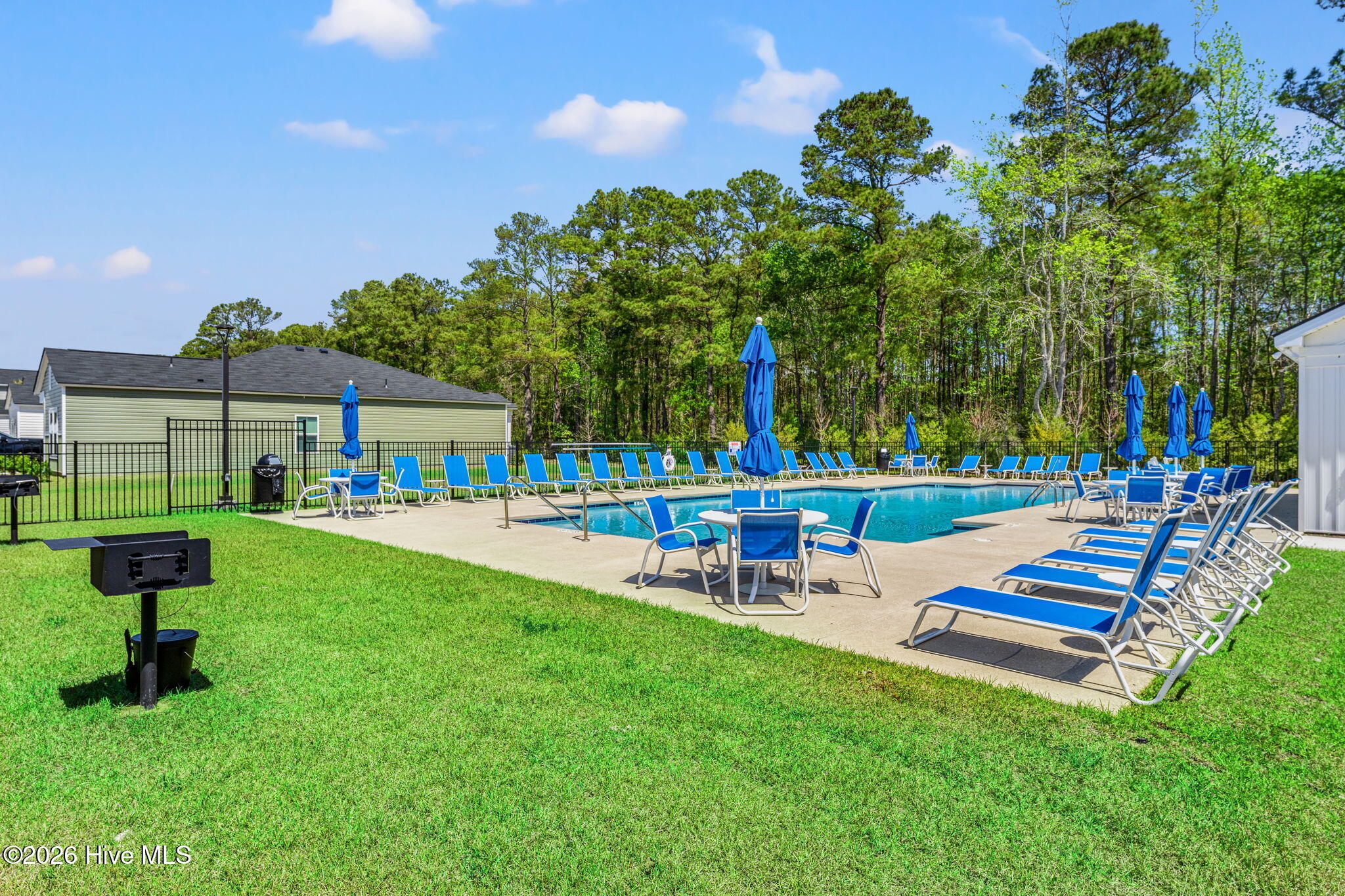 100566153 | Photo 42