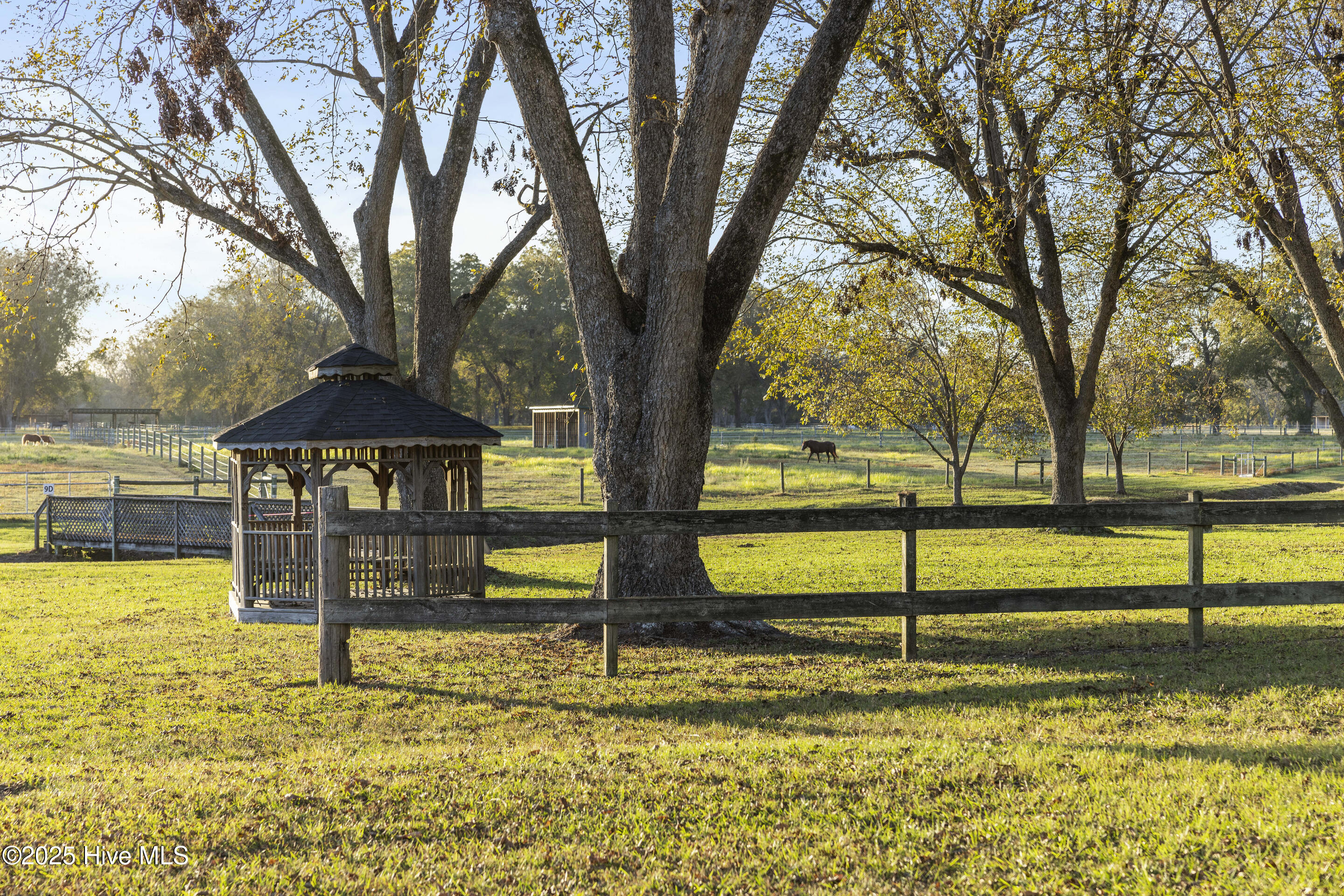 100538504 | Photo 53