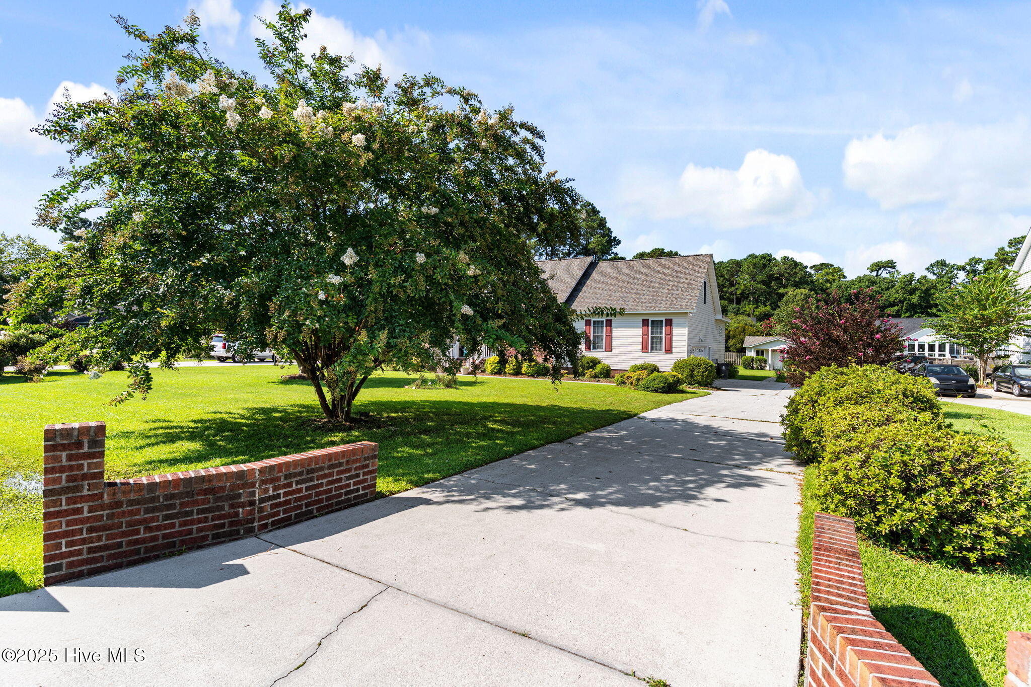 100511511 | Photo 44