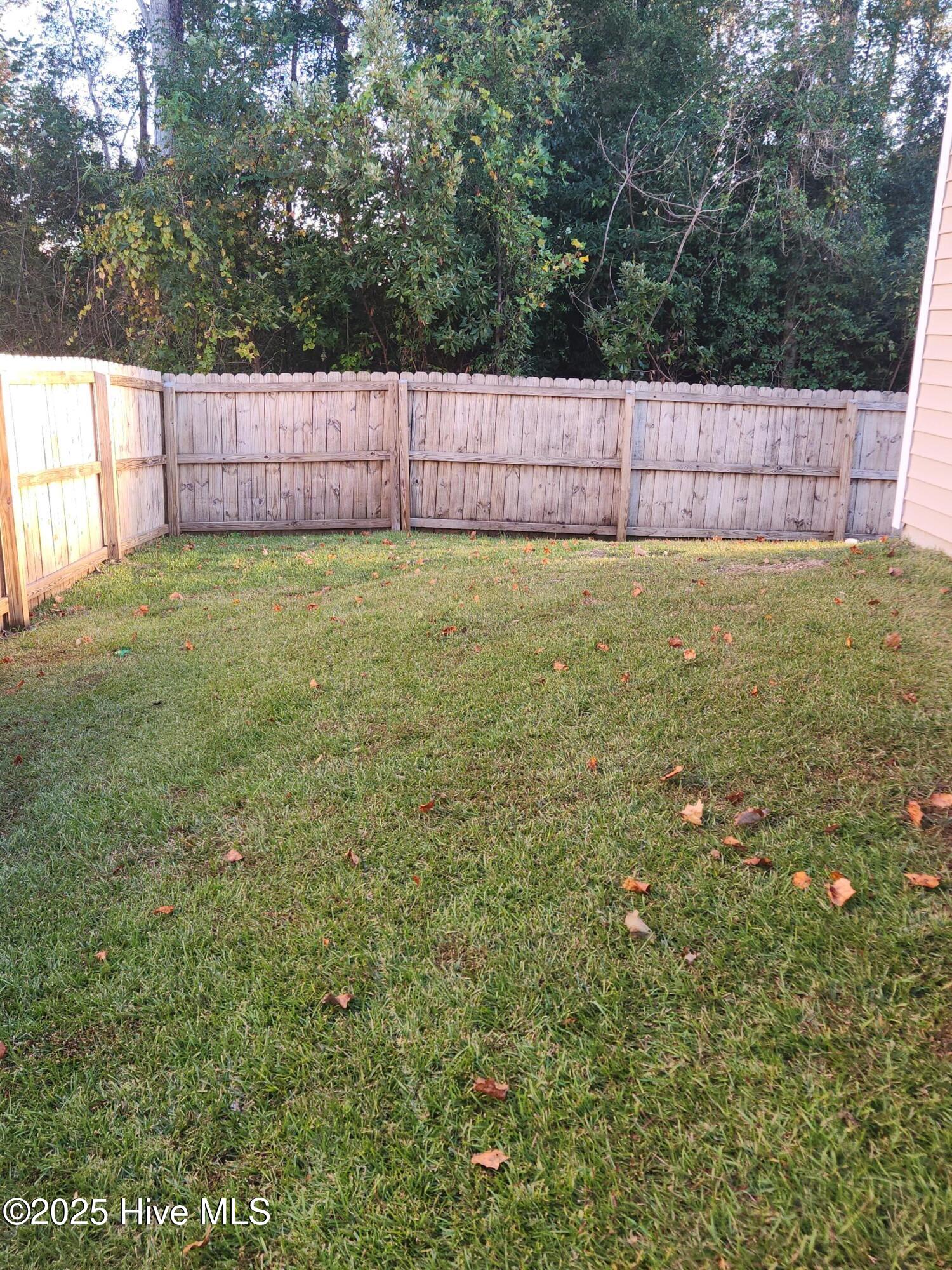 100539235 | Photo 39