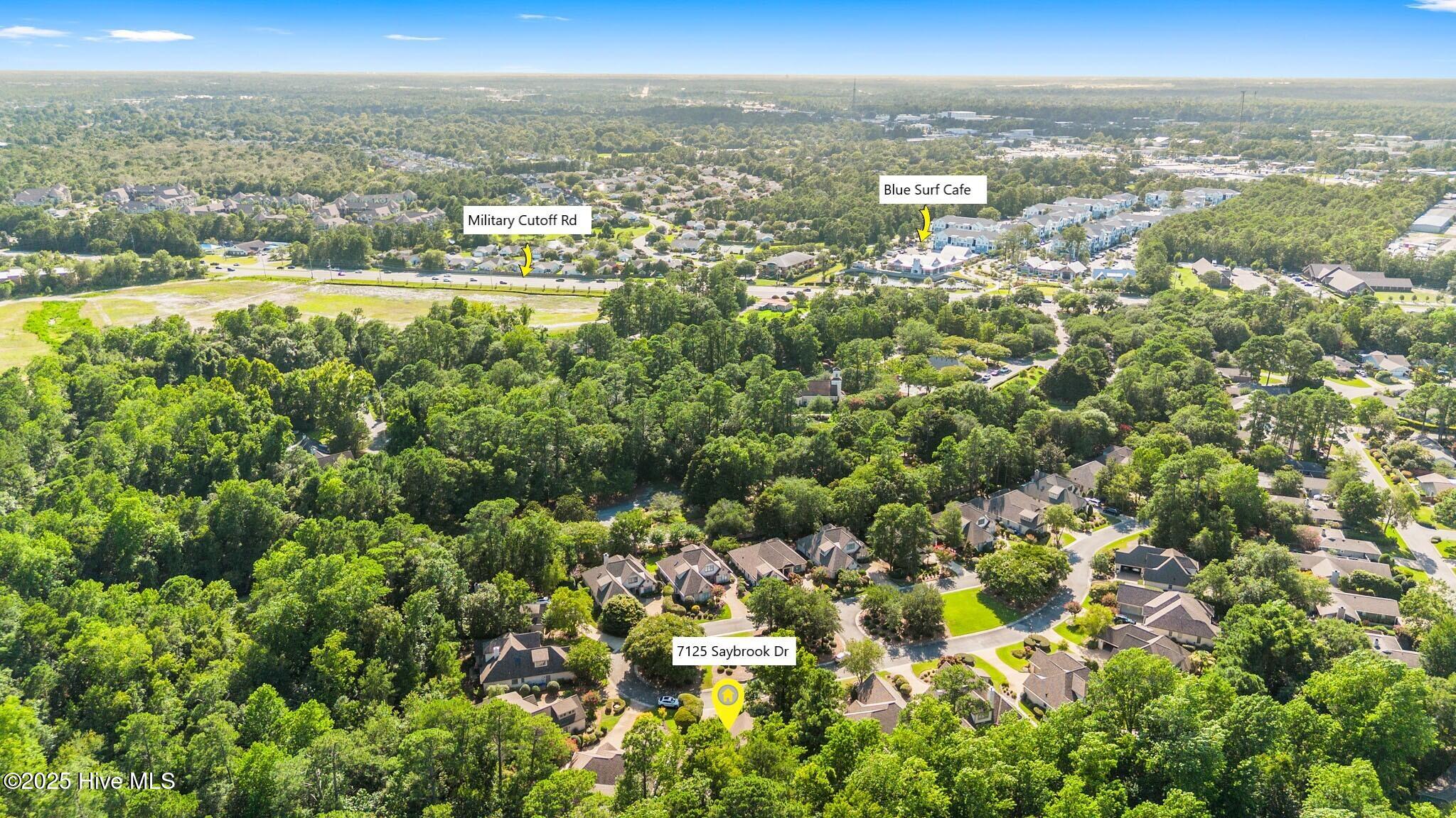 100520389 | Photo 78