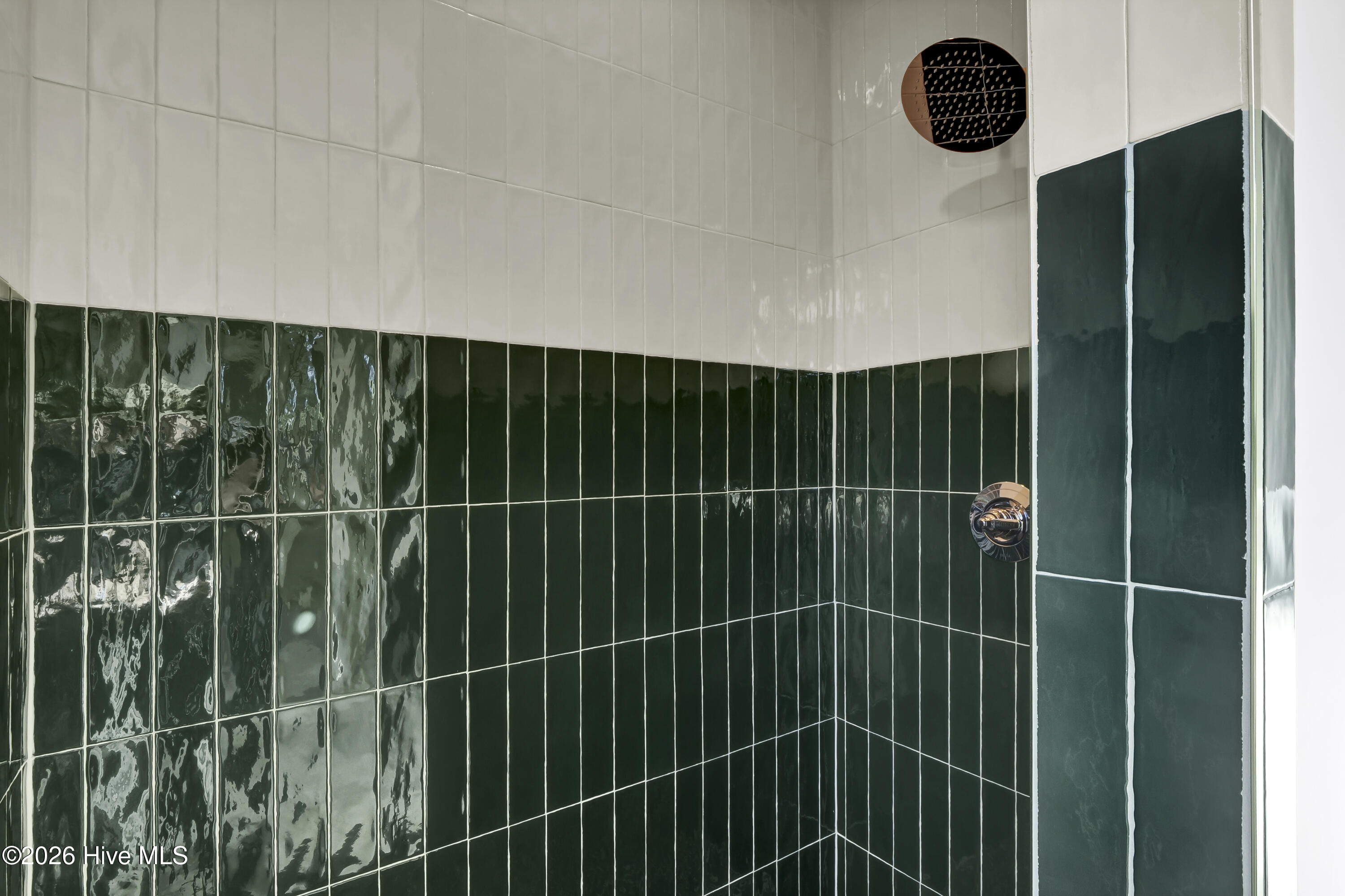 100567308 | Photo 10