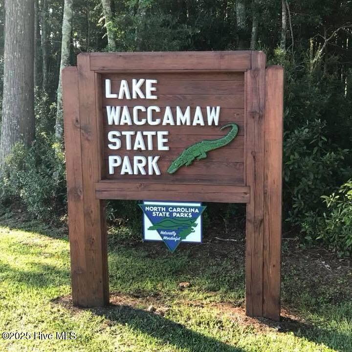 100494571 | Photo 15