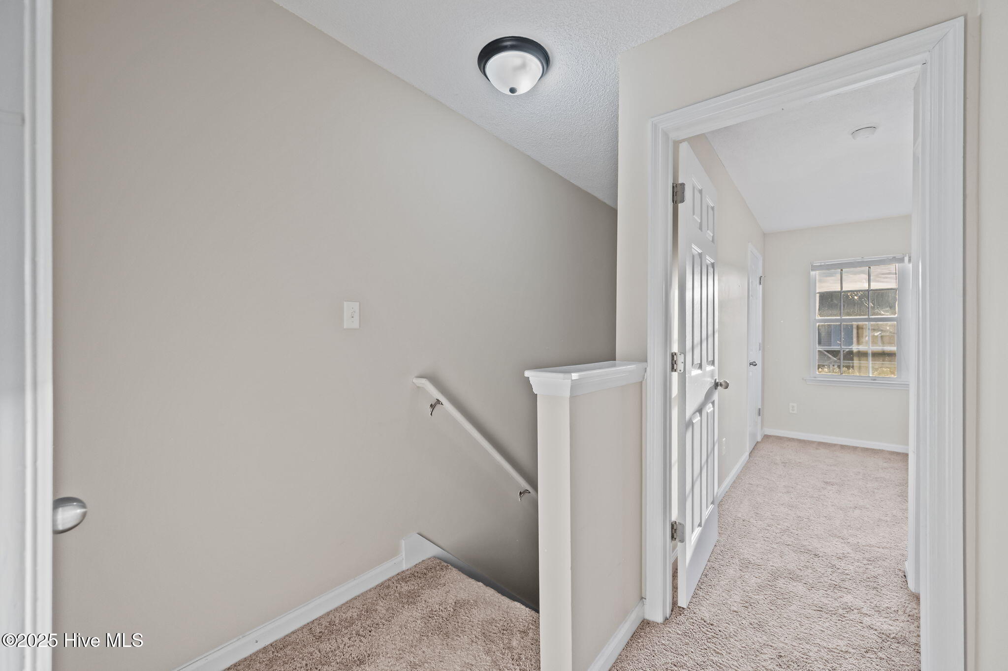 100543374 | Photo 24