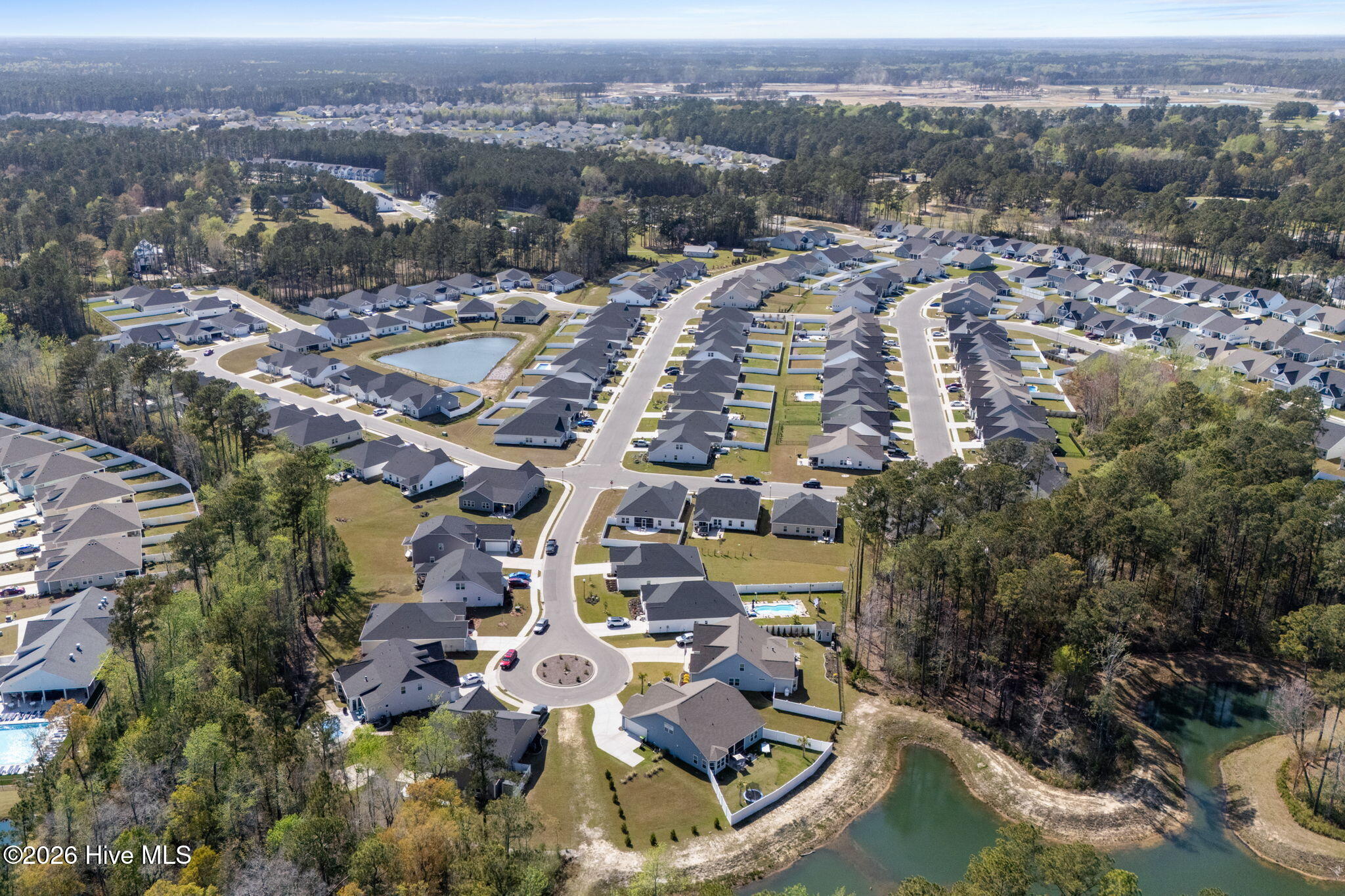 100563775 | Photo 49