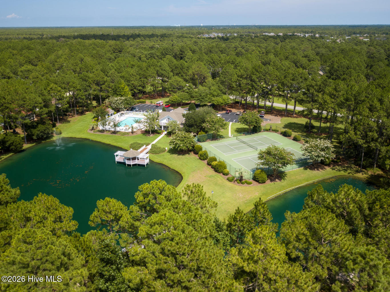 100553520 | Photo 39