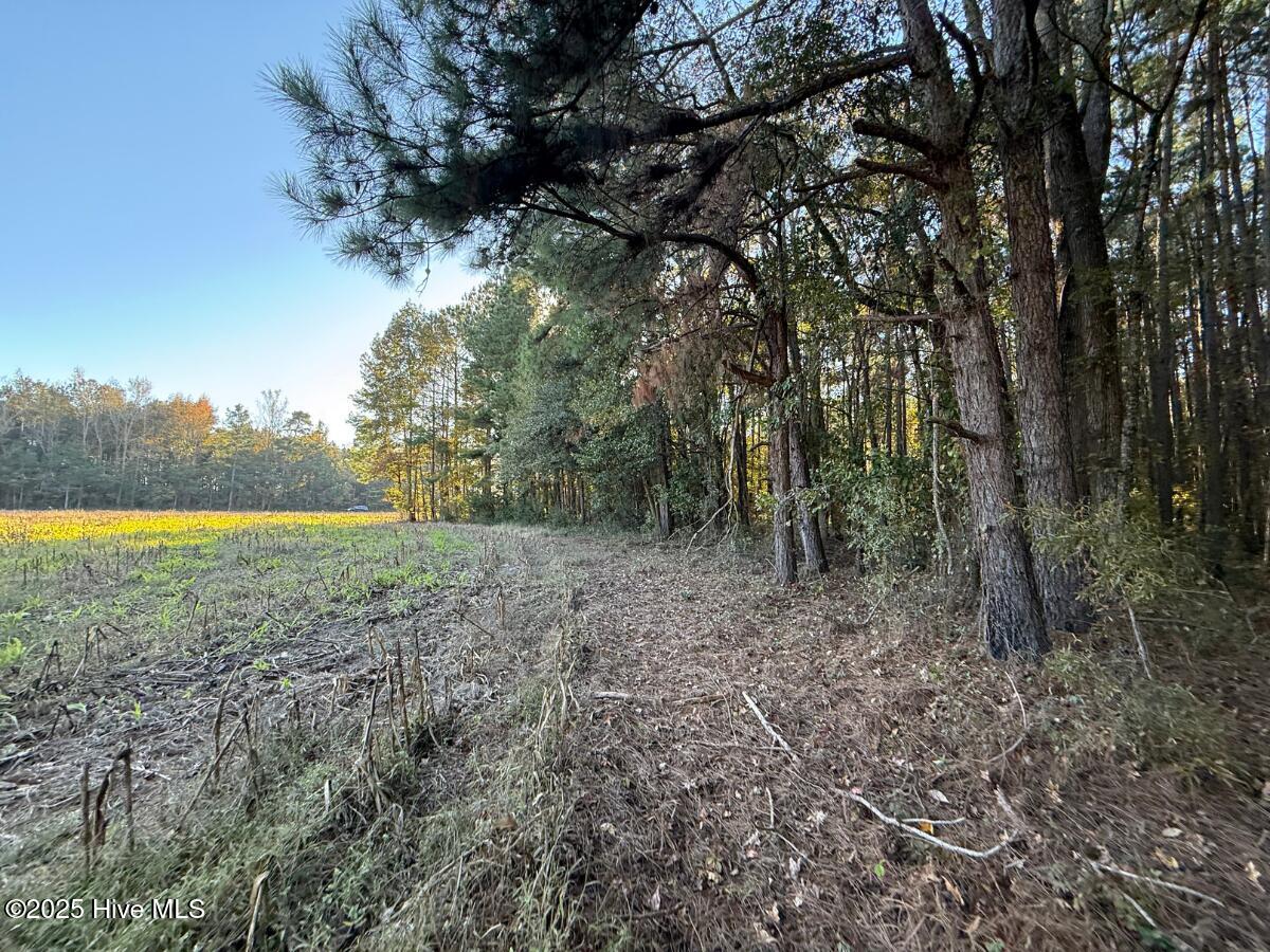 100540348 | Photo 28