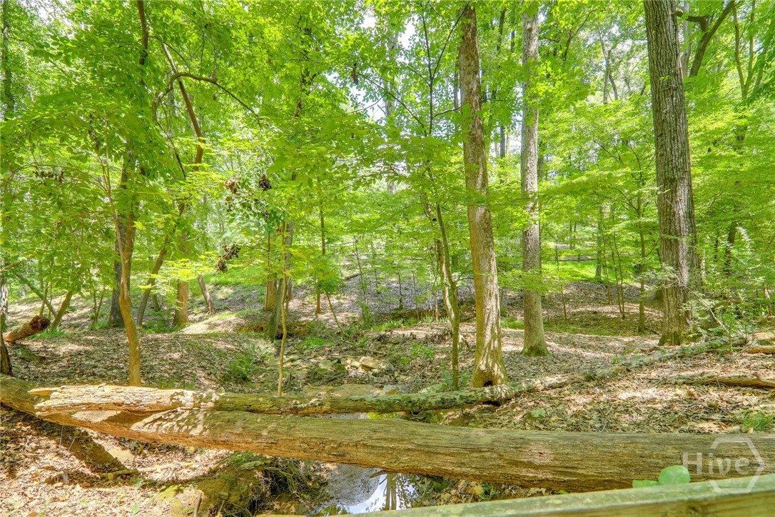 The back yard towards the pond