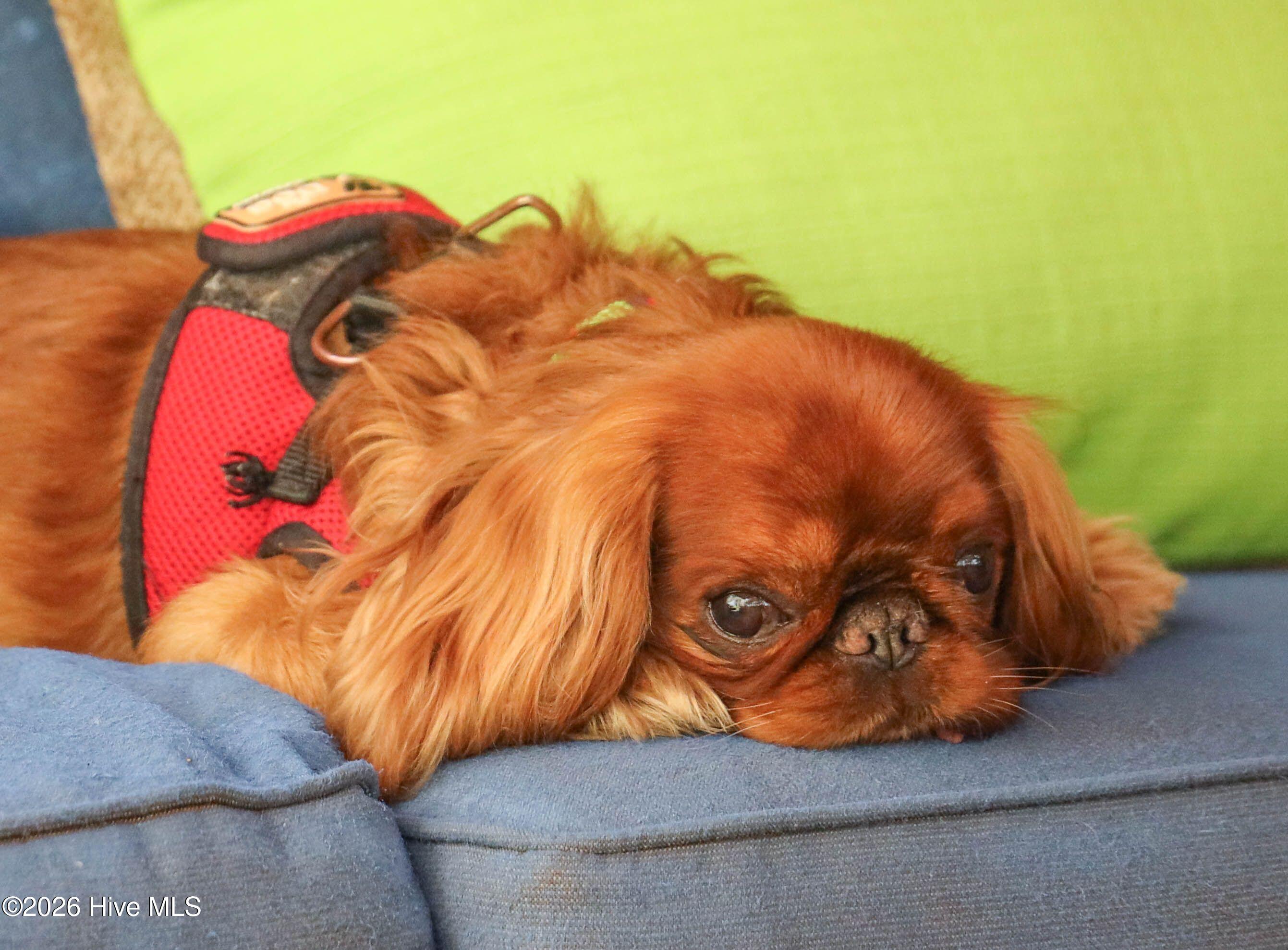 100559415 | Photo 88