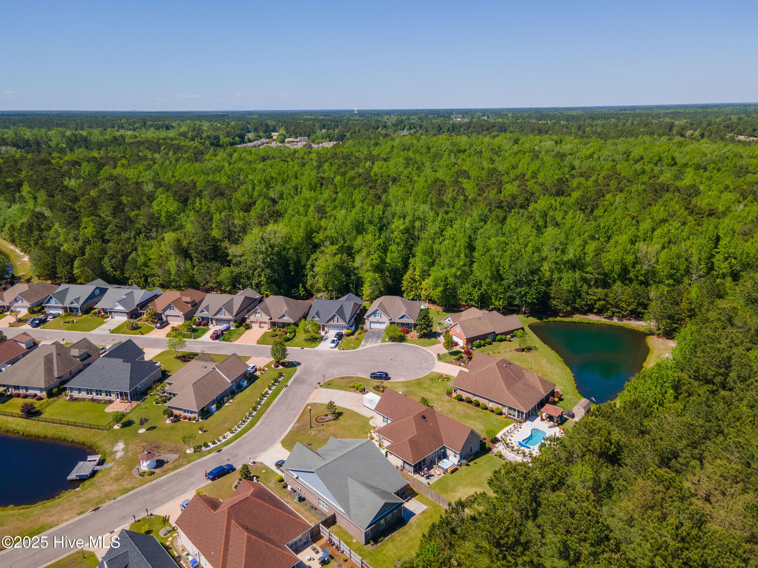 100506043 | Photo 52