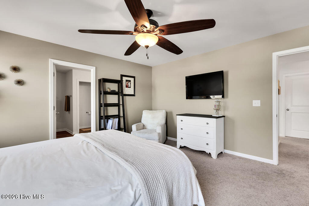 100560031 | Photo 20