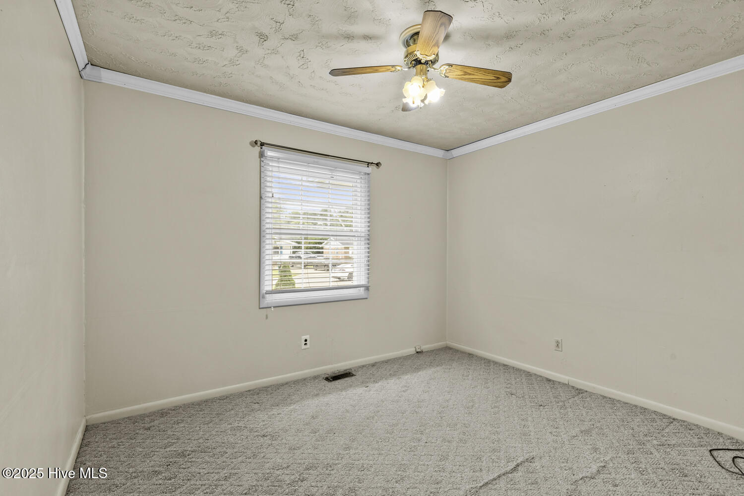 100530678 | Photo 22