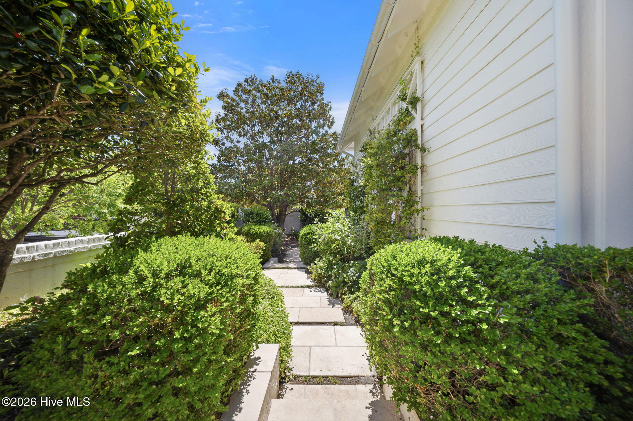 100570583 | Photo 65