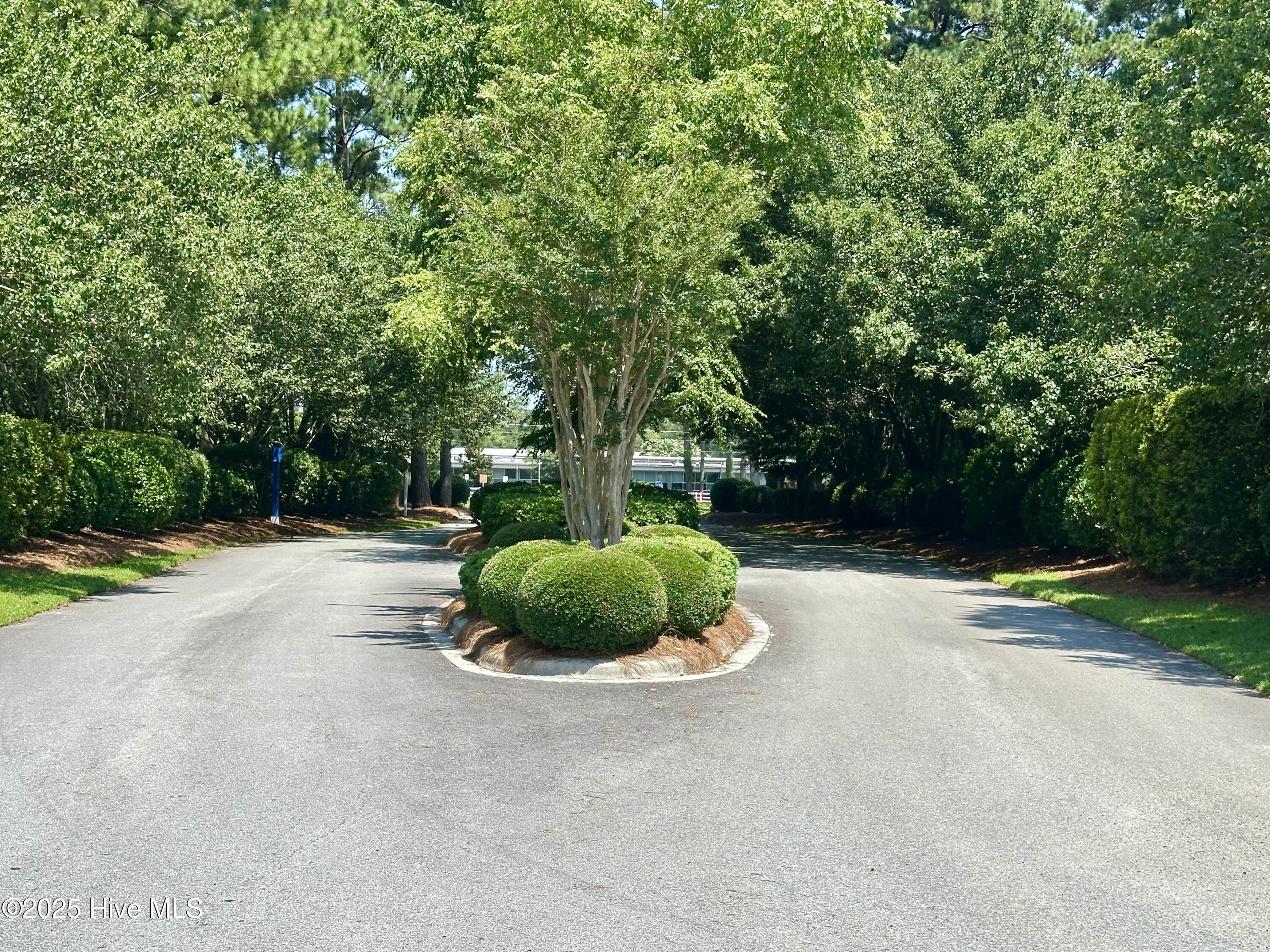 100558486 | Photo 39