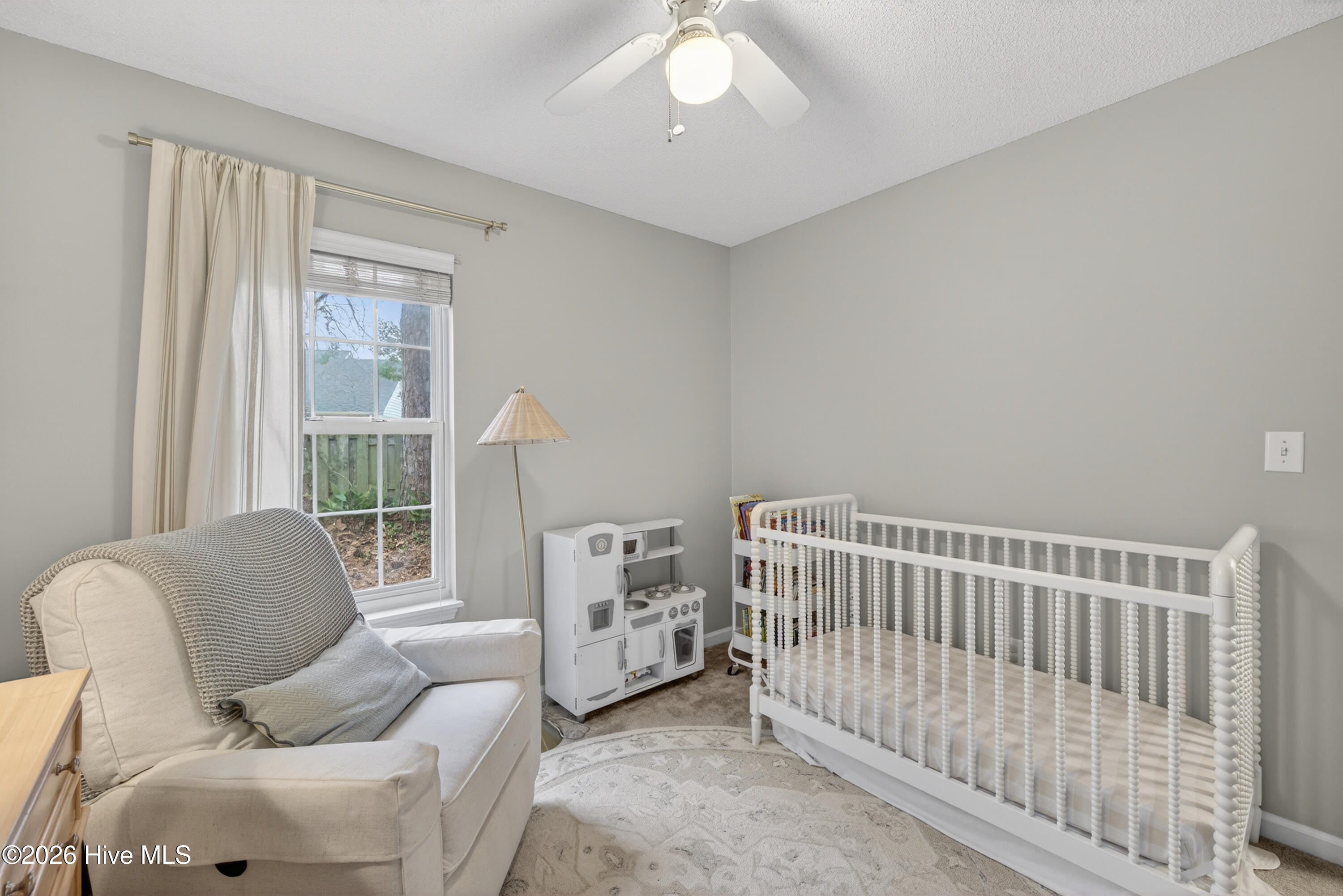 100555851 | Photo 23