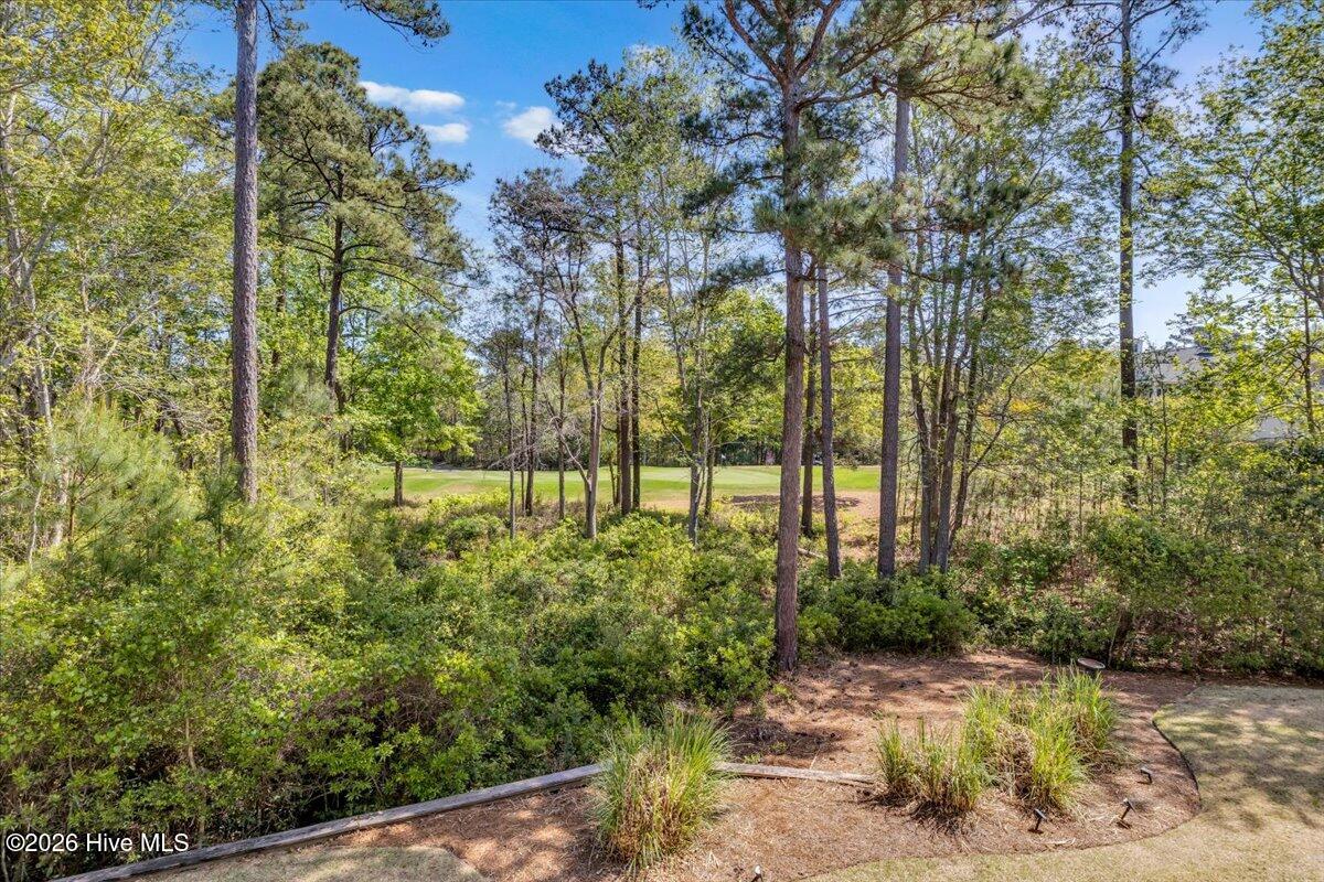 100566244 | Photo 11