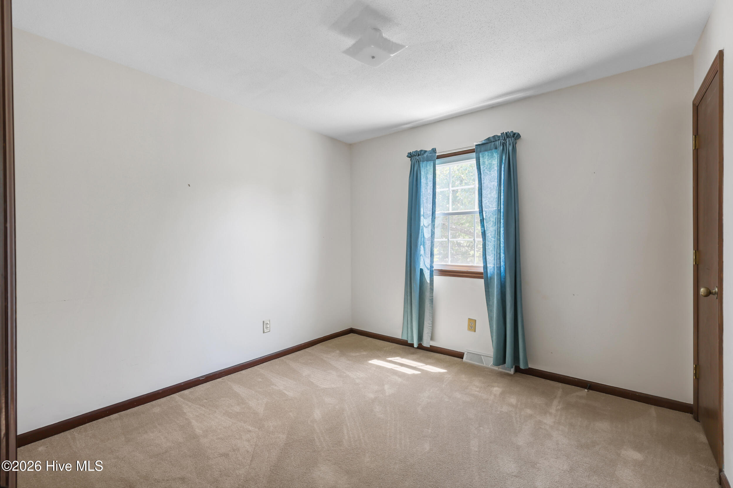 100567633 | Photo 26