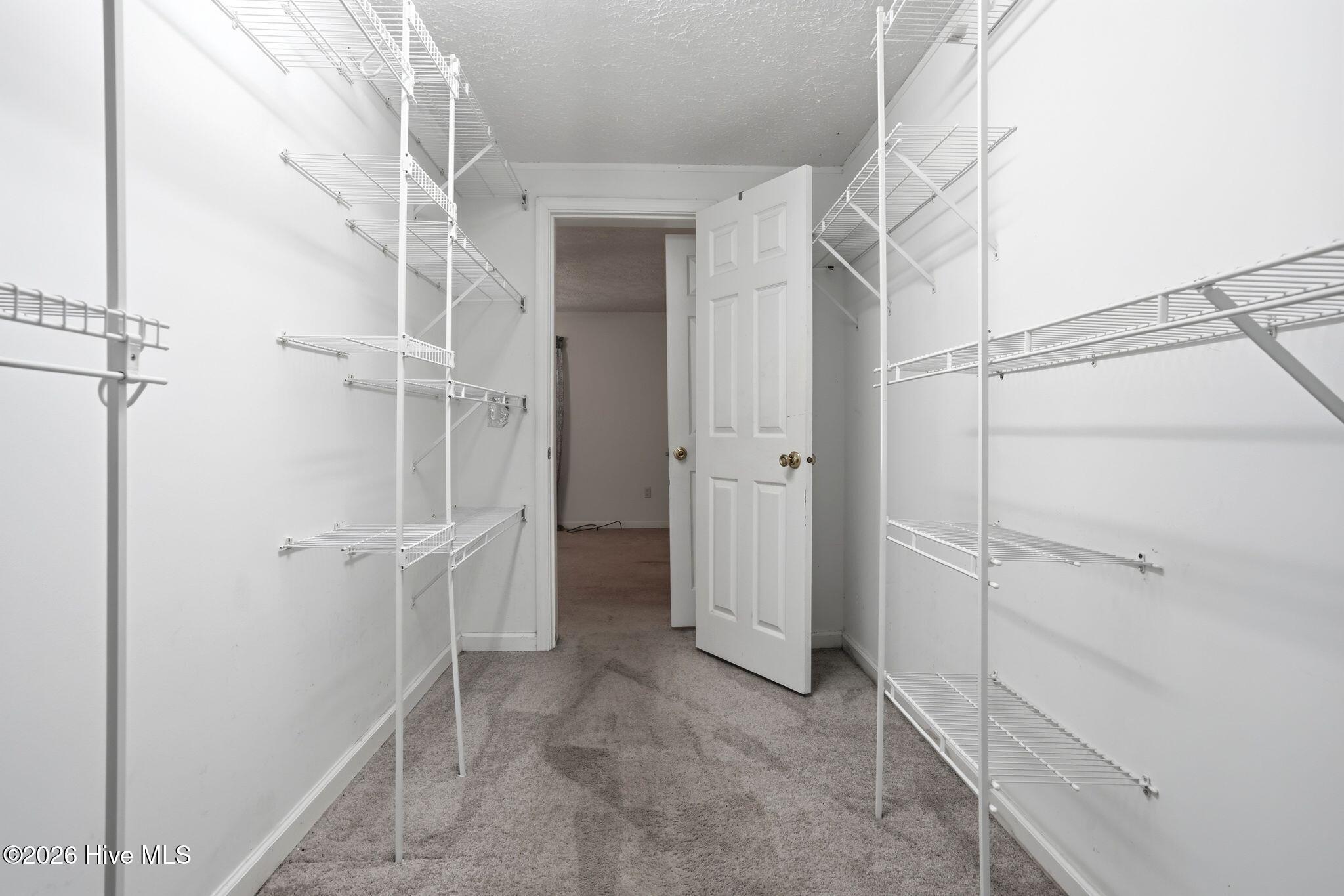 100556115 | Photo 65