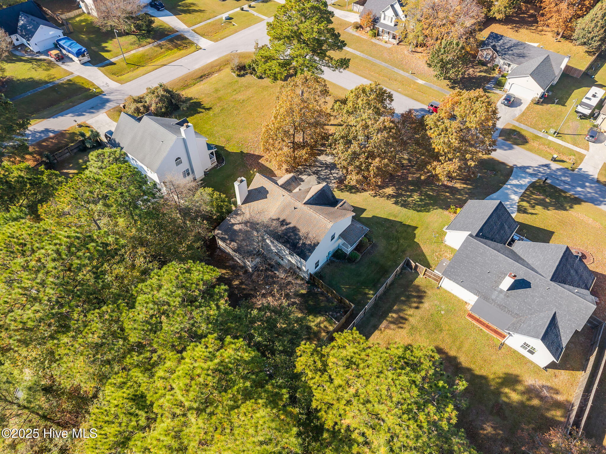 100541595 | Photo 59