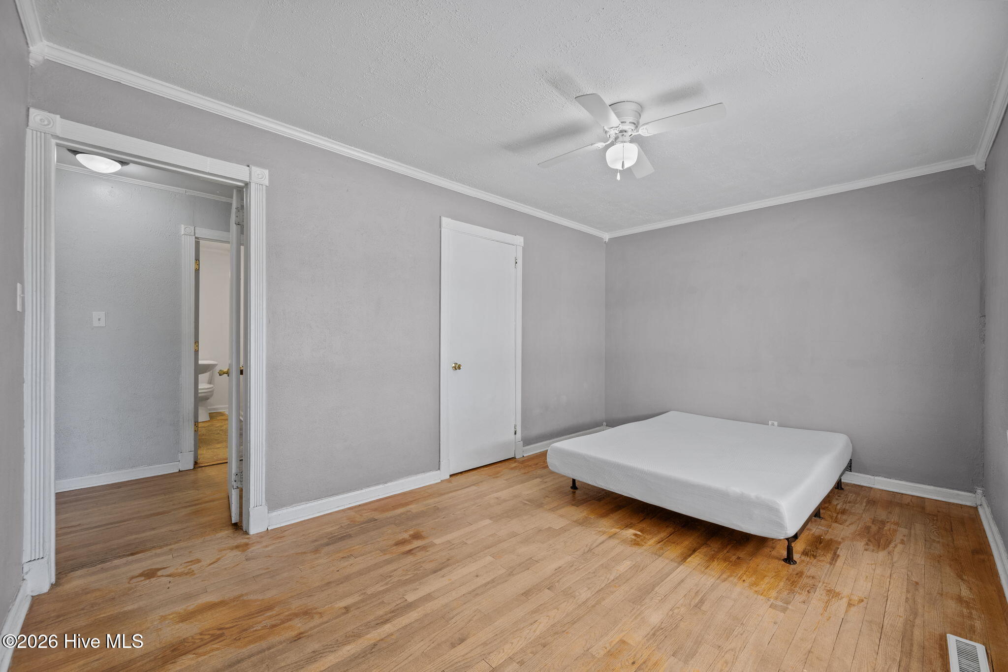 100562753 | Photo 25