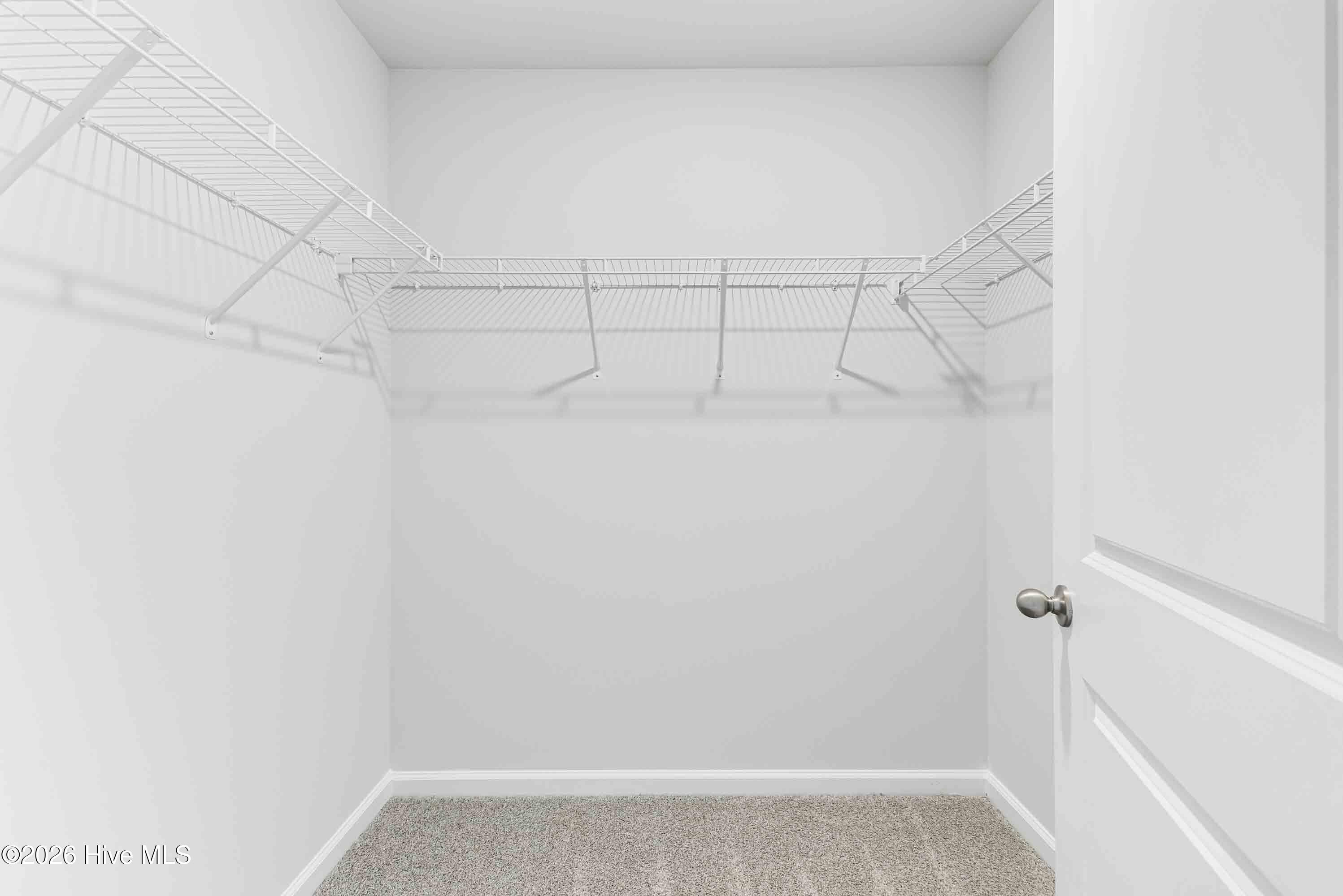 100569617 | Photo 23