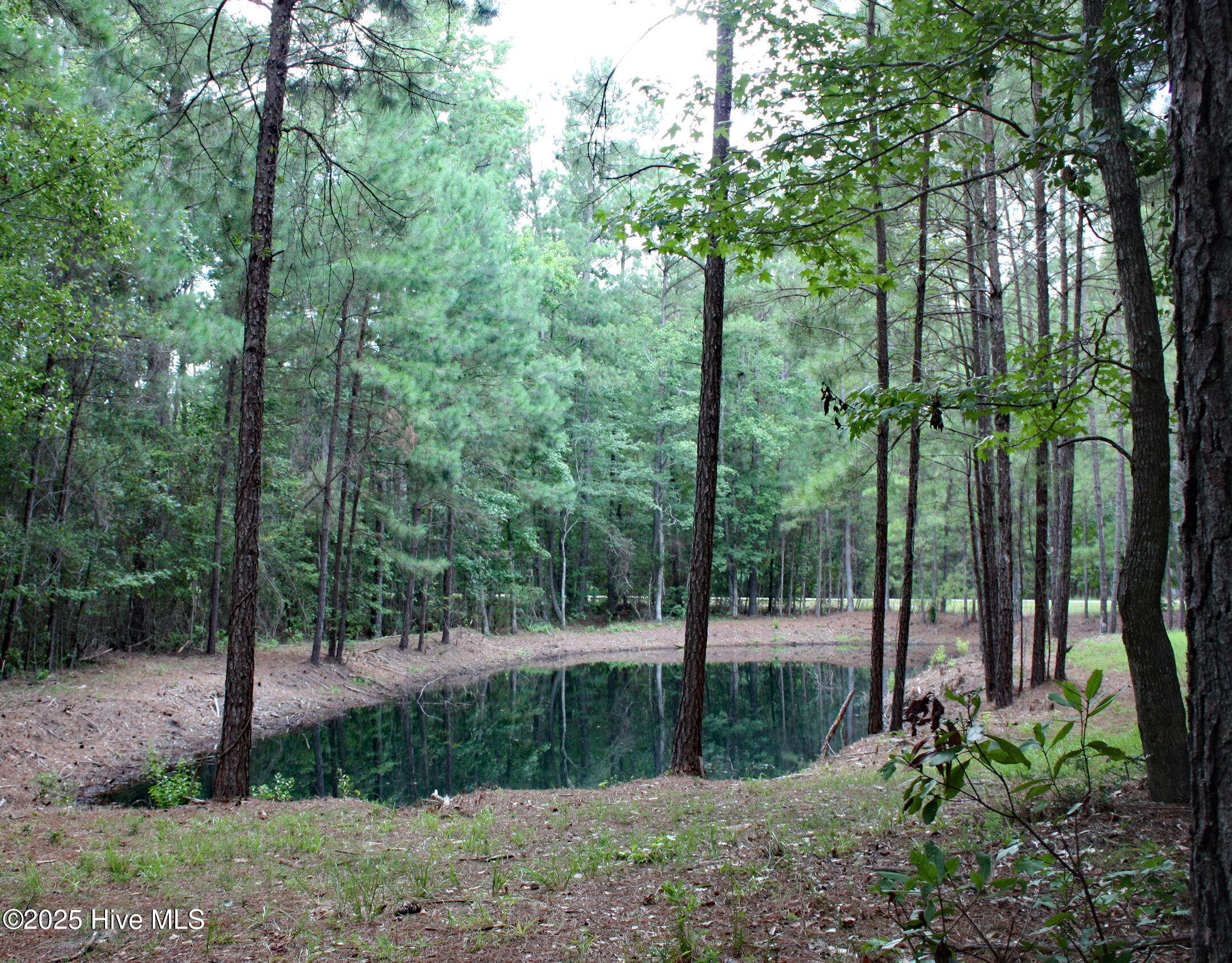 Carolina Barrier Islands