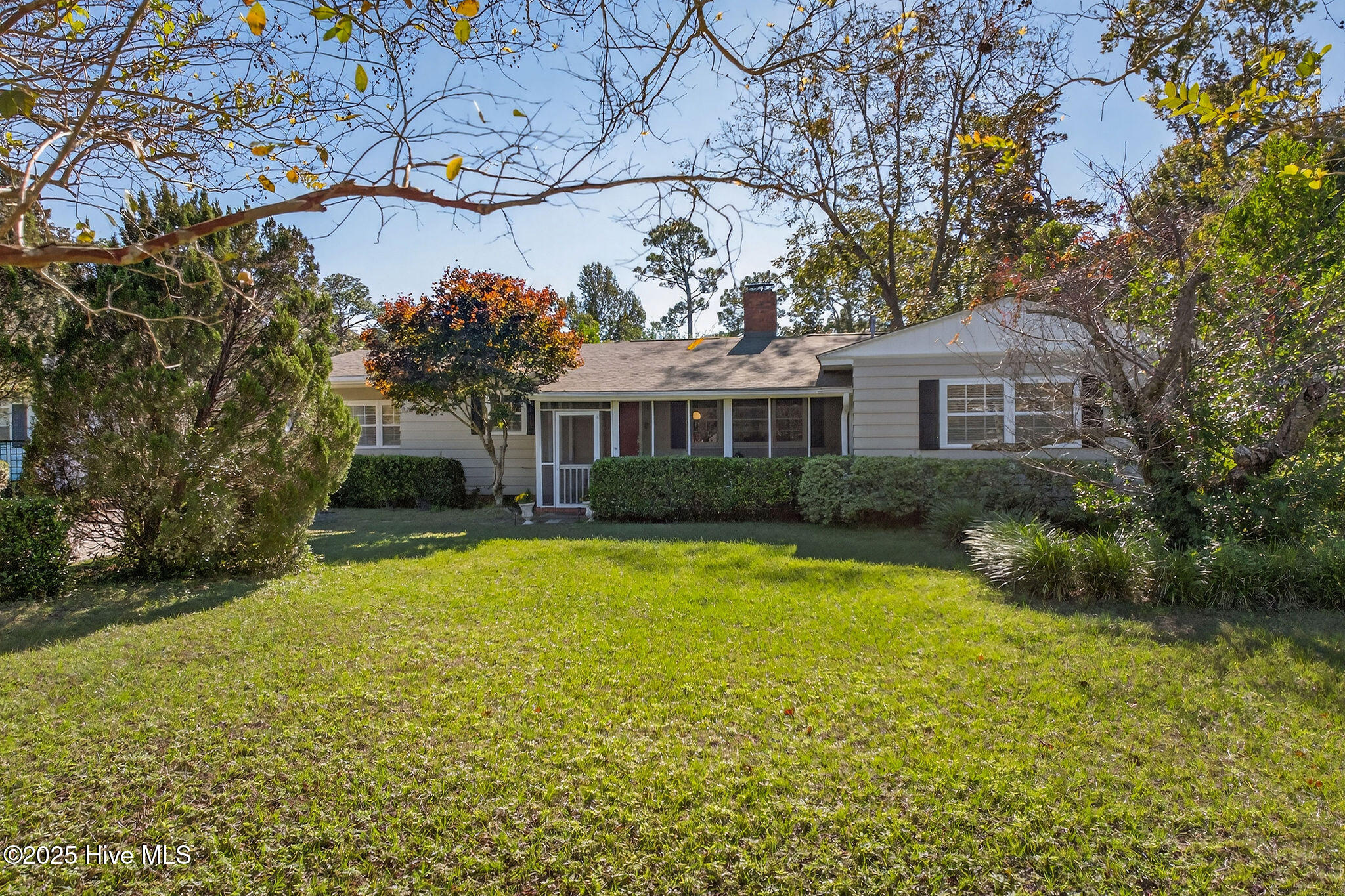 100539754 | Photo 44