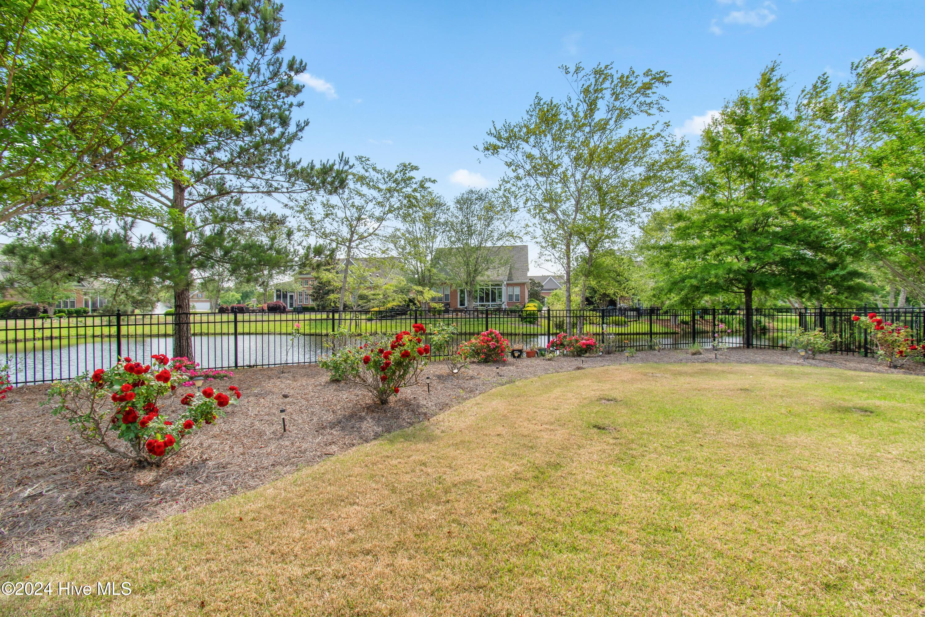 100558312 | Photo 38