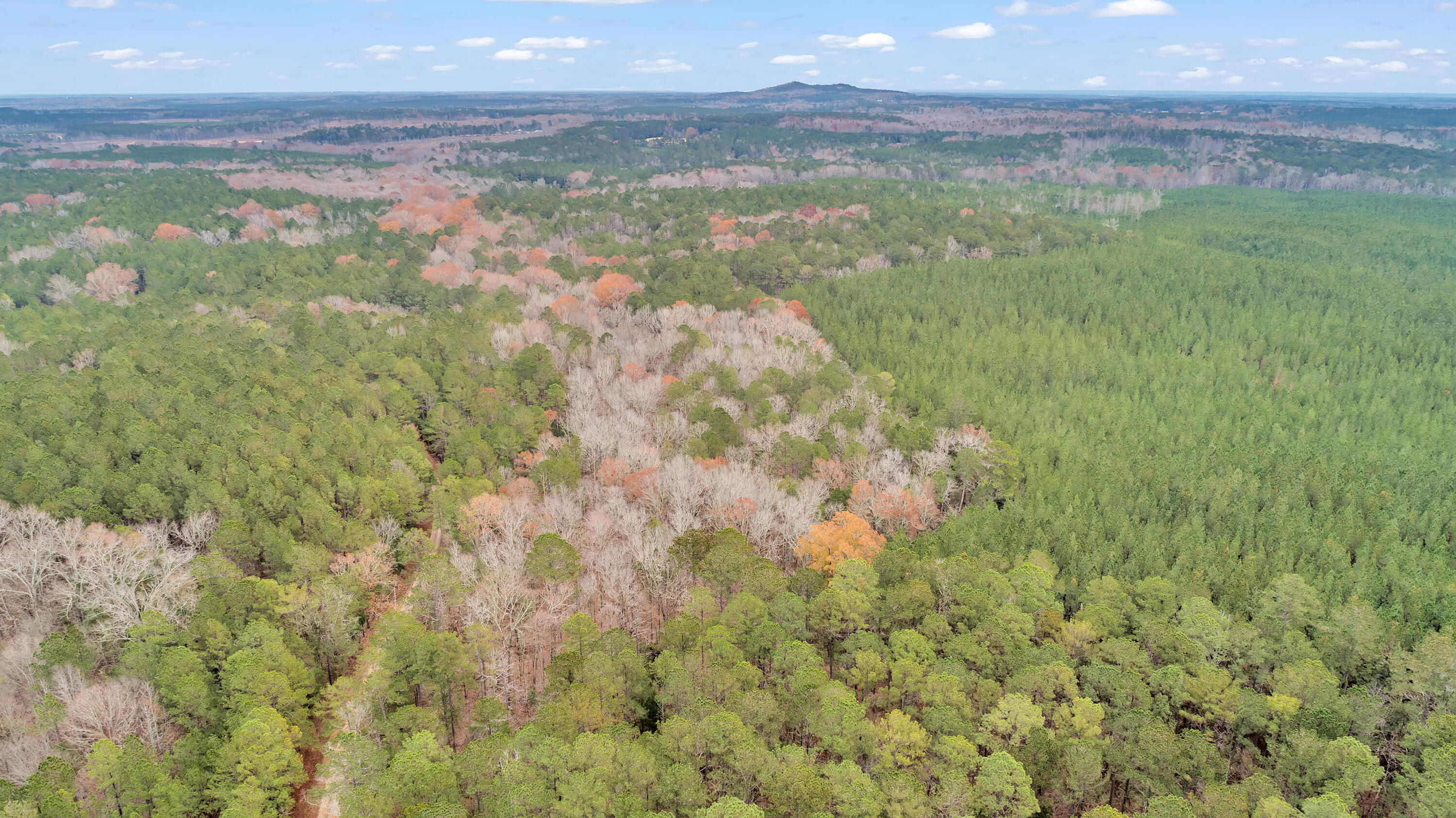 Saggus Rd land 121-007A, 400ft View, Dro
