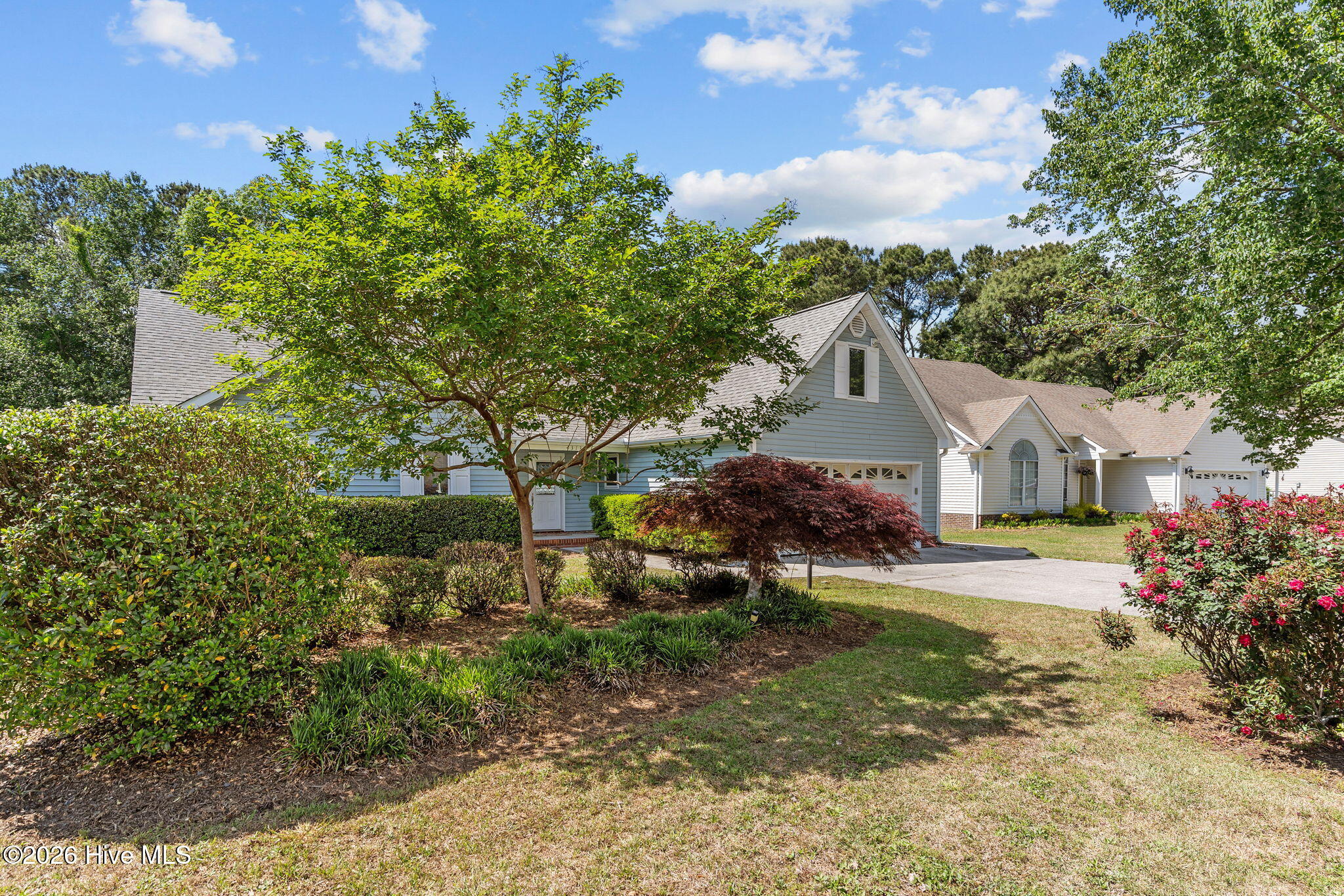 100568995 | Photo 50