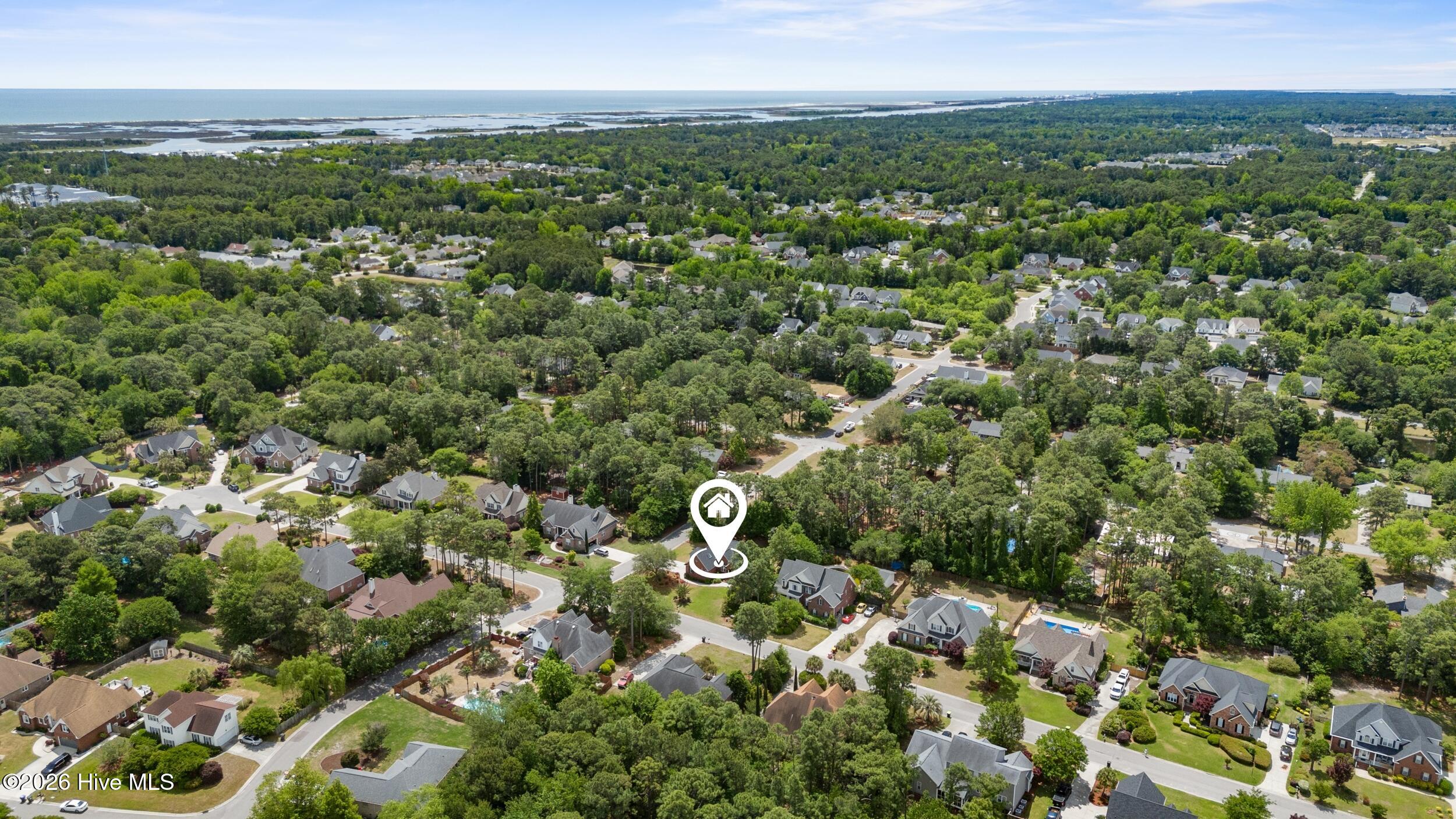 100564143 | Photo 39