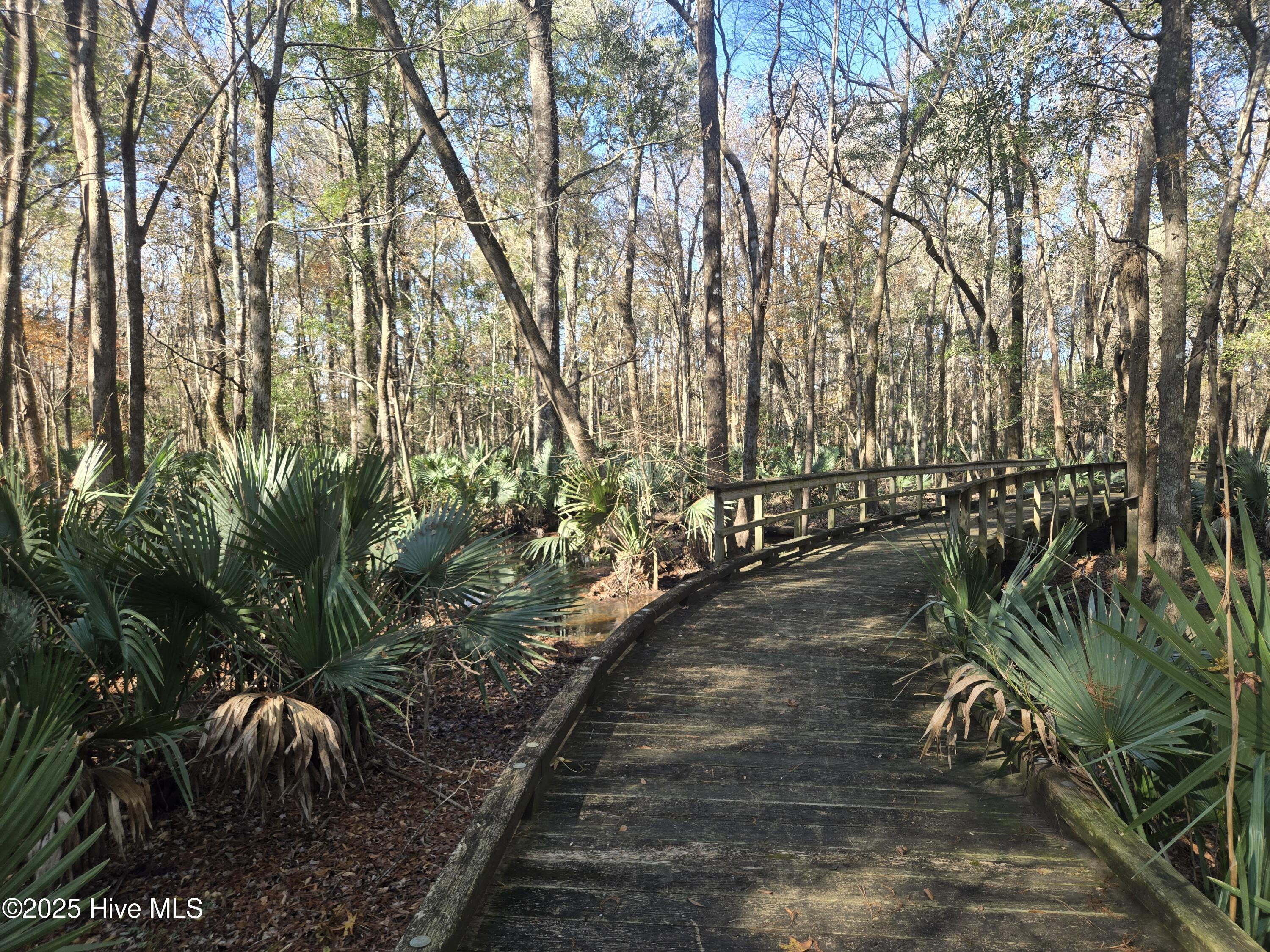 100545211 | Photo 89