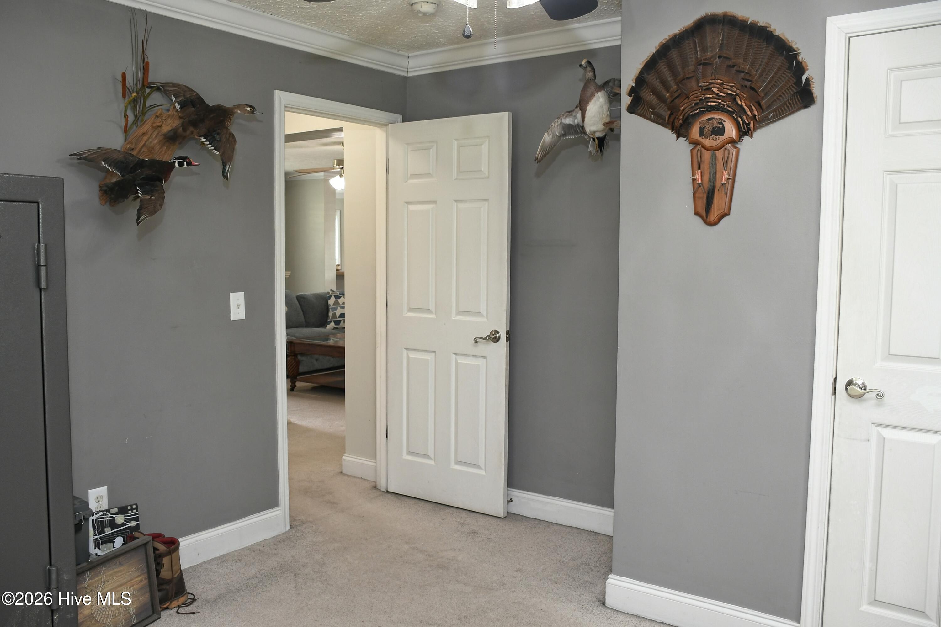 100565846 | Photo 19