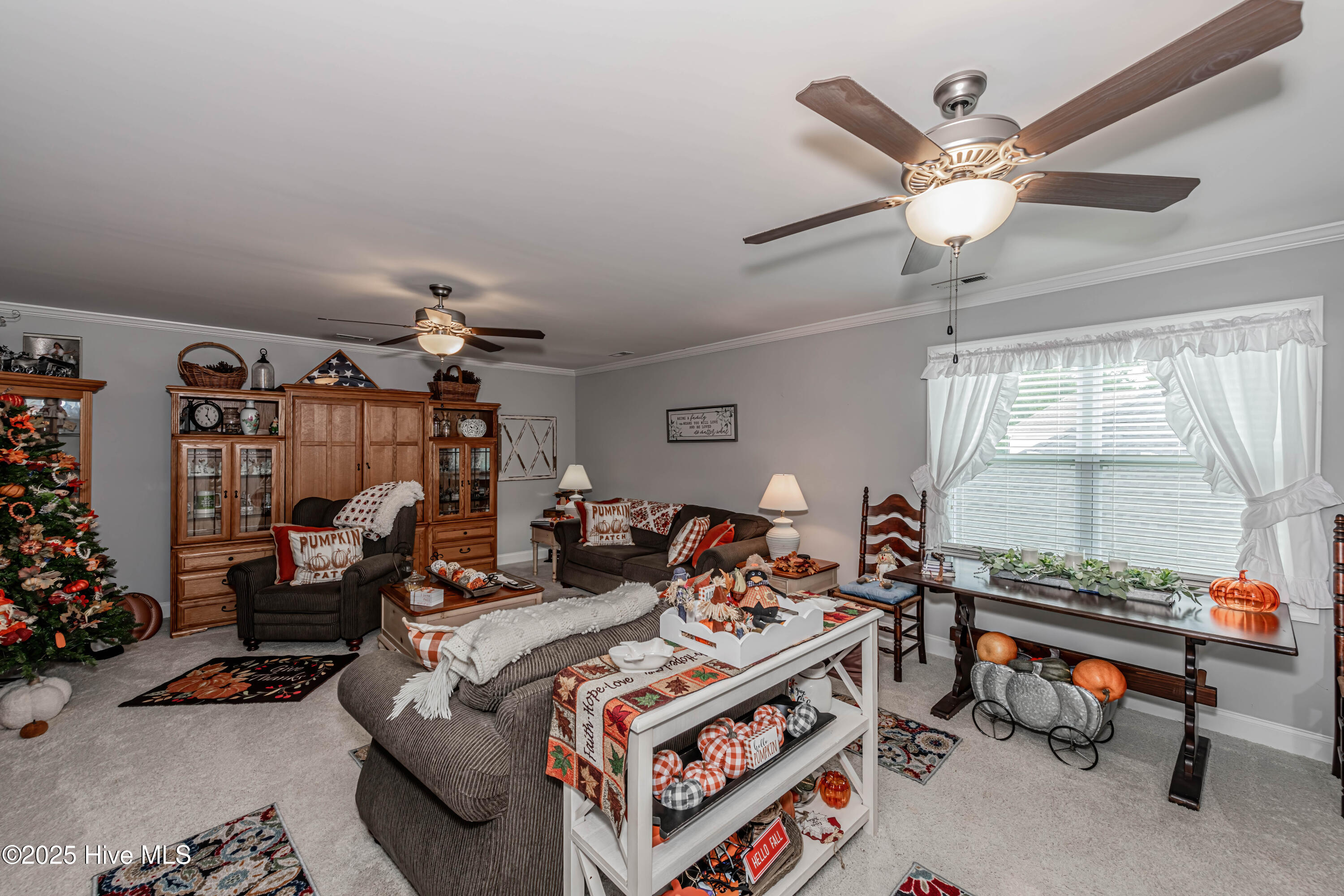 100524839 | Photo 61