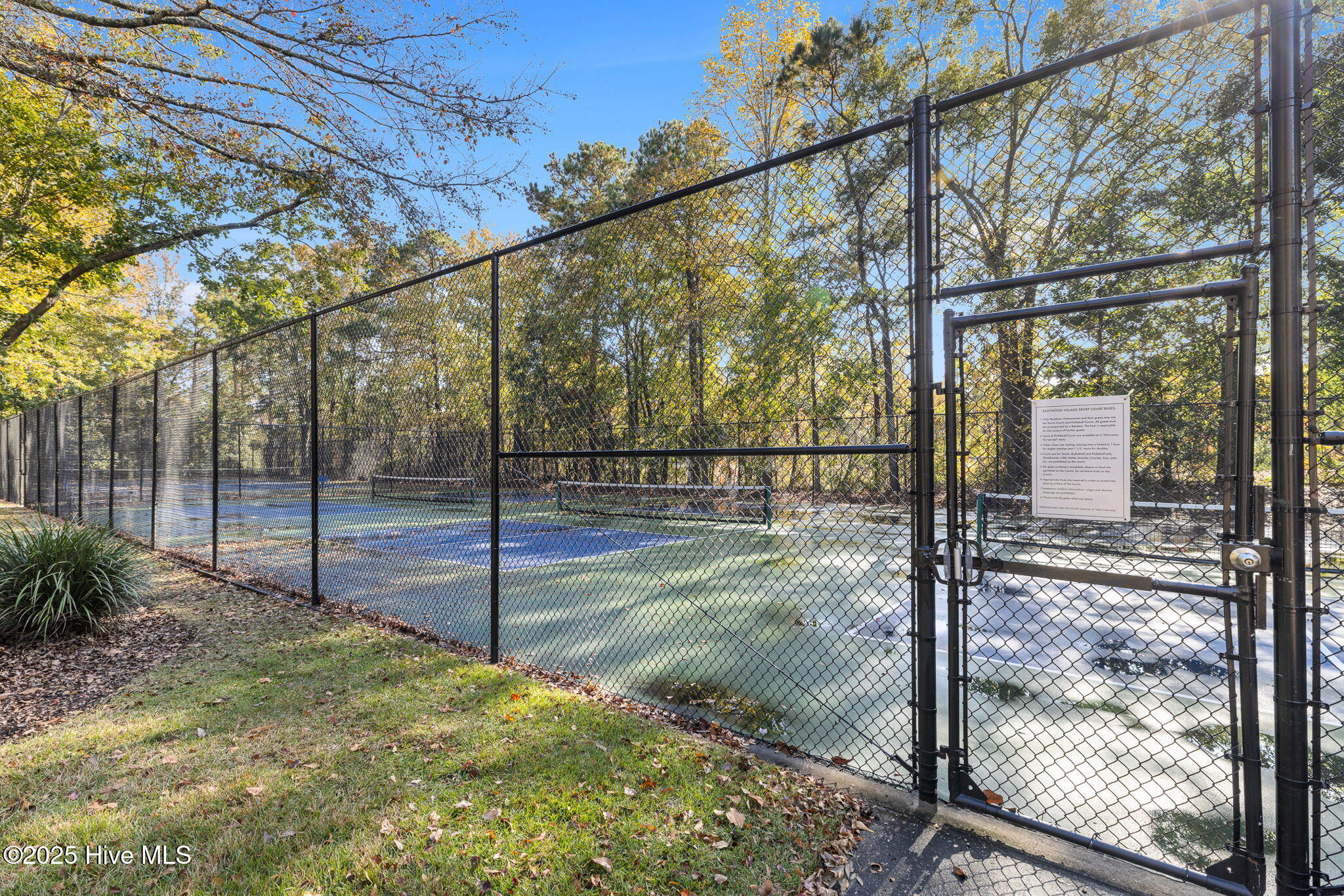 100539672 | Photo 37