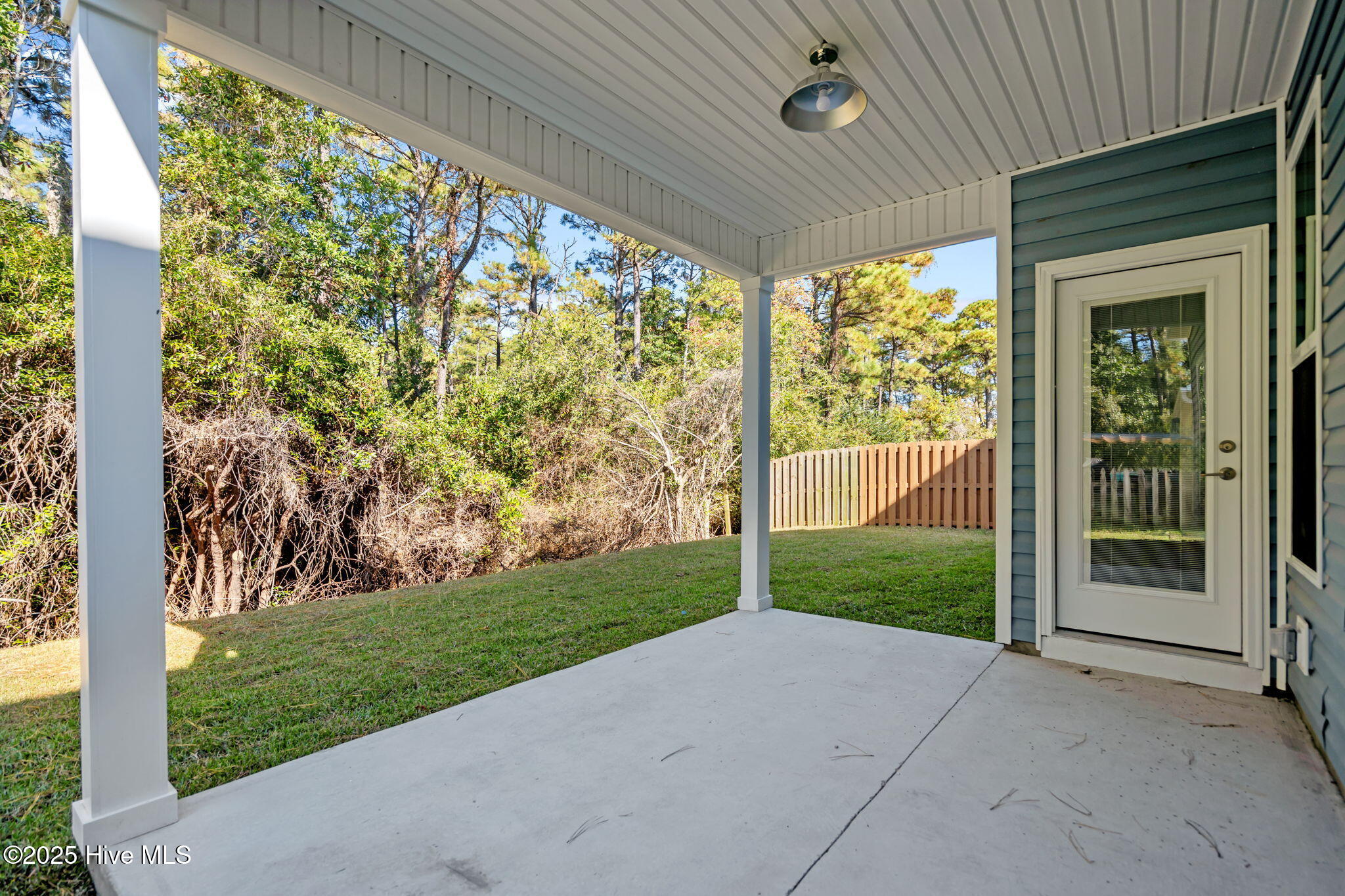 100542016 | Photo 44