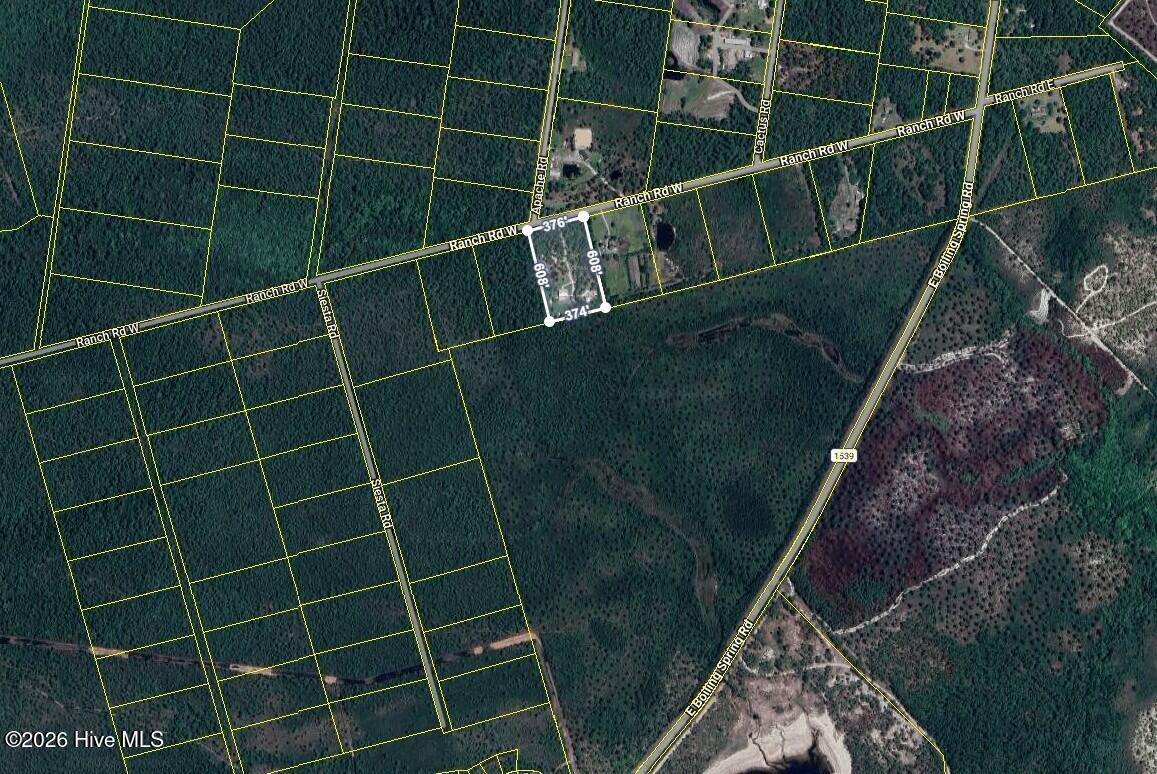 100560144 | Photo 62