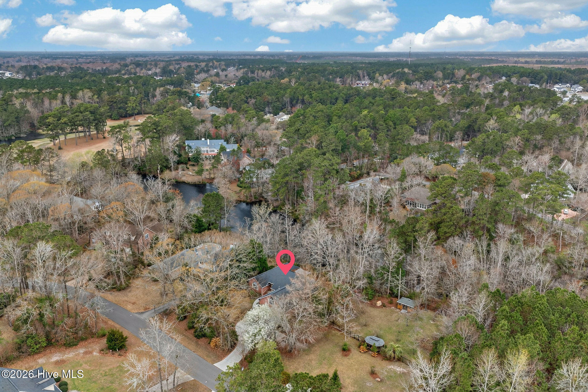 100556345 | Photo 60