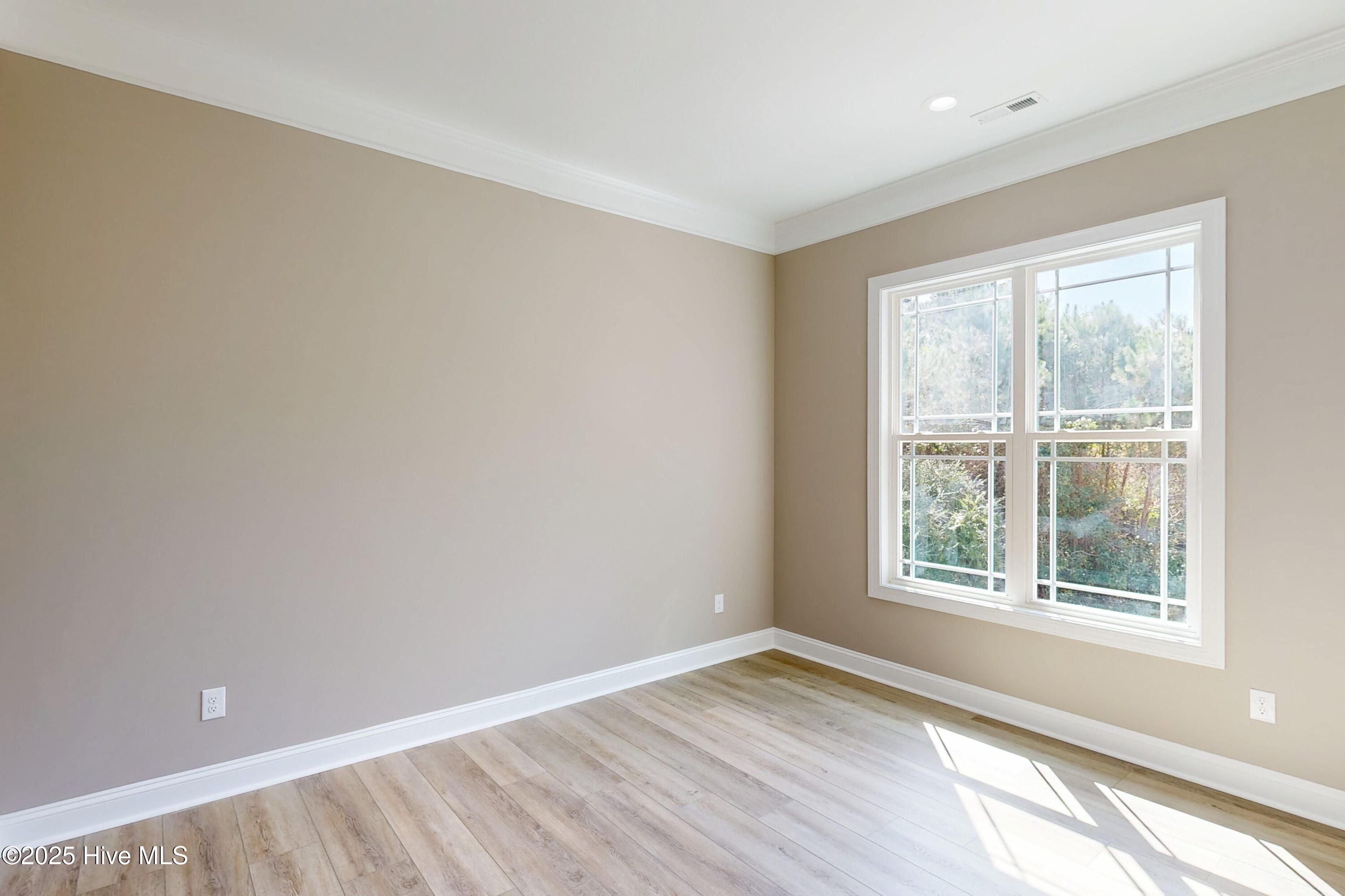 100534156 | Photo 33