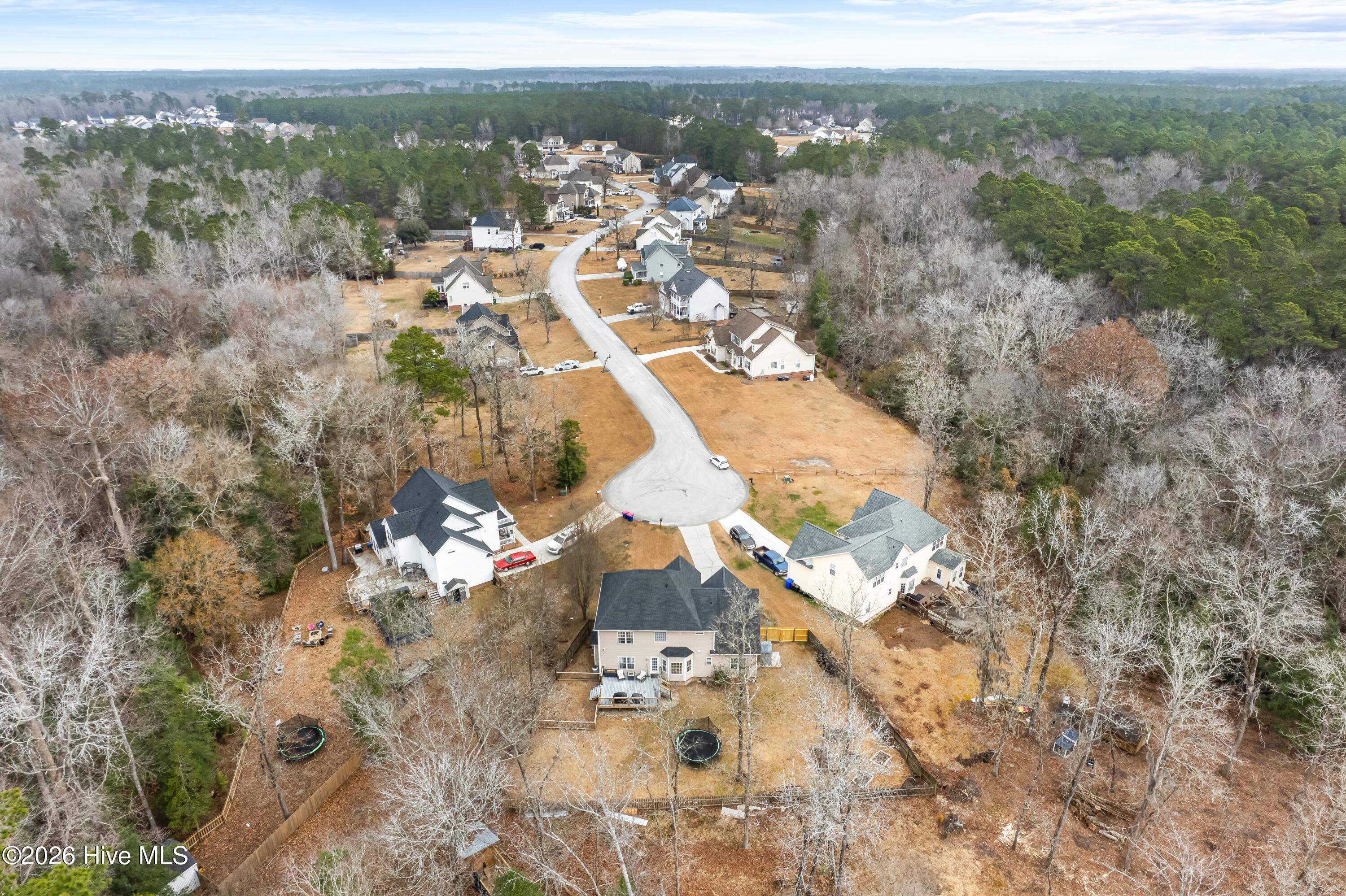 100556314 | Photo 64