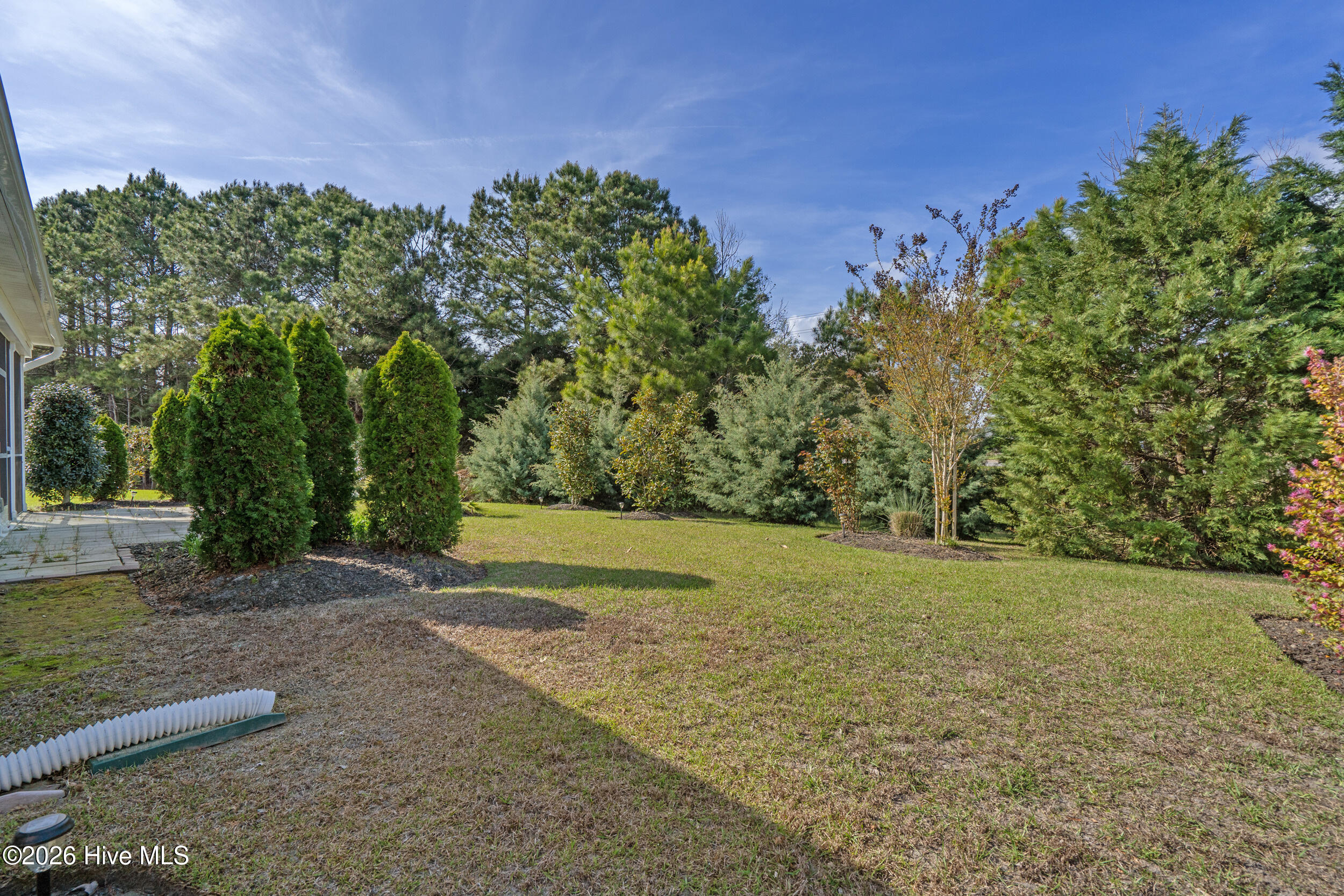 100563305 | Photo 36