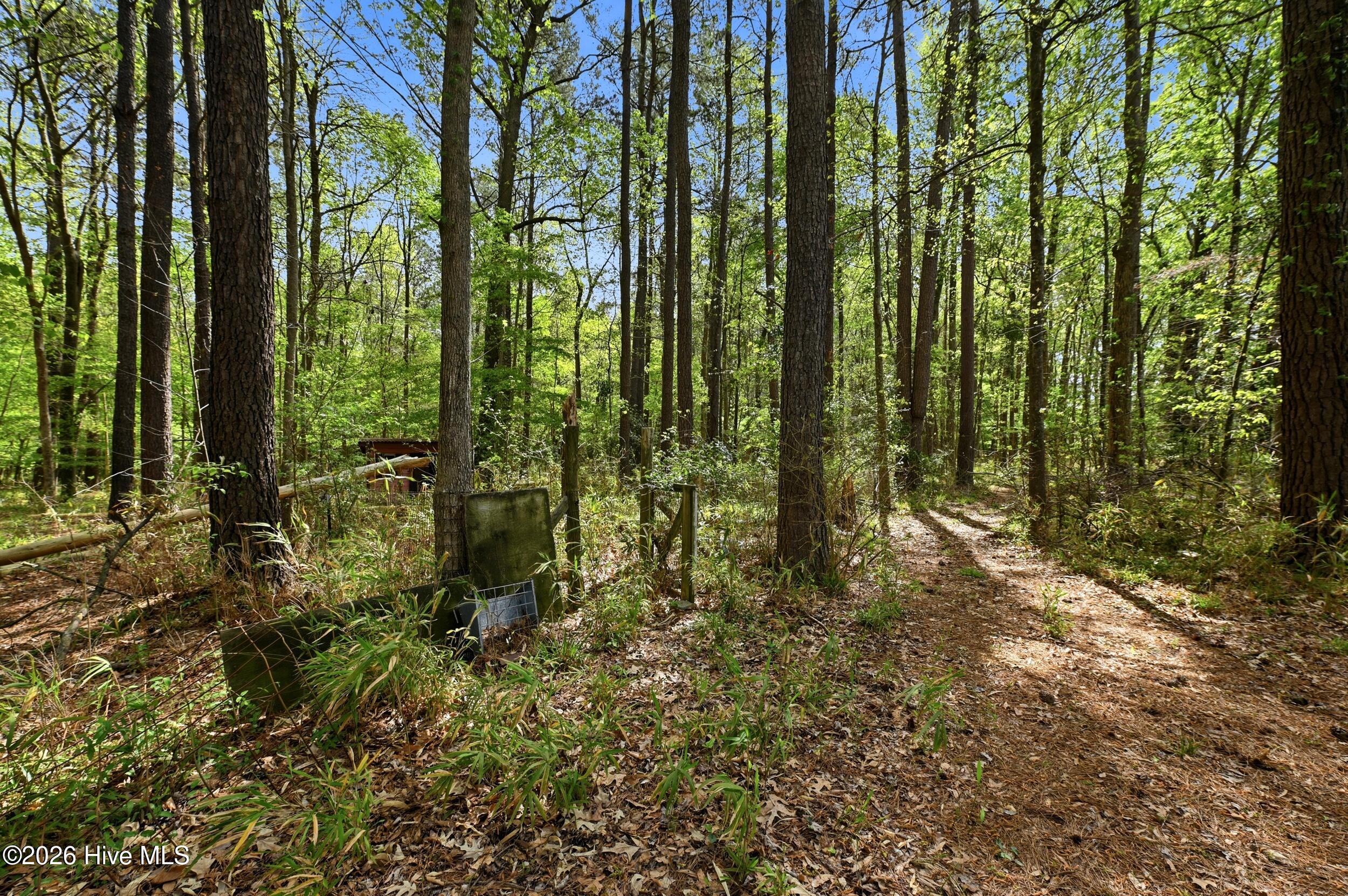 2639 Nc Highway 211, Clarkton, NC, 28433